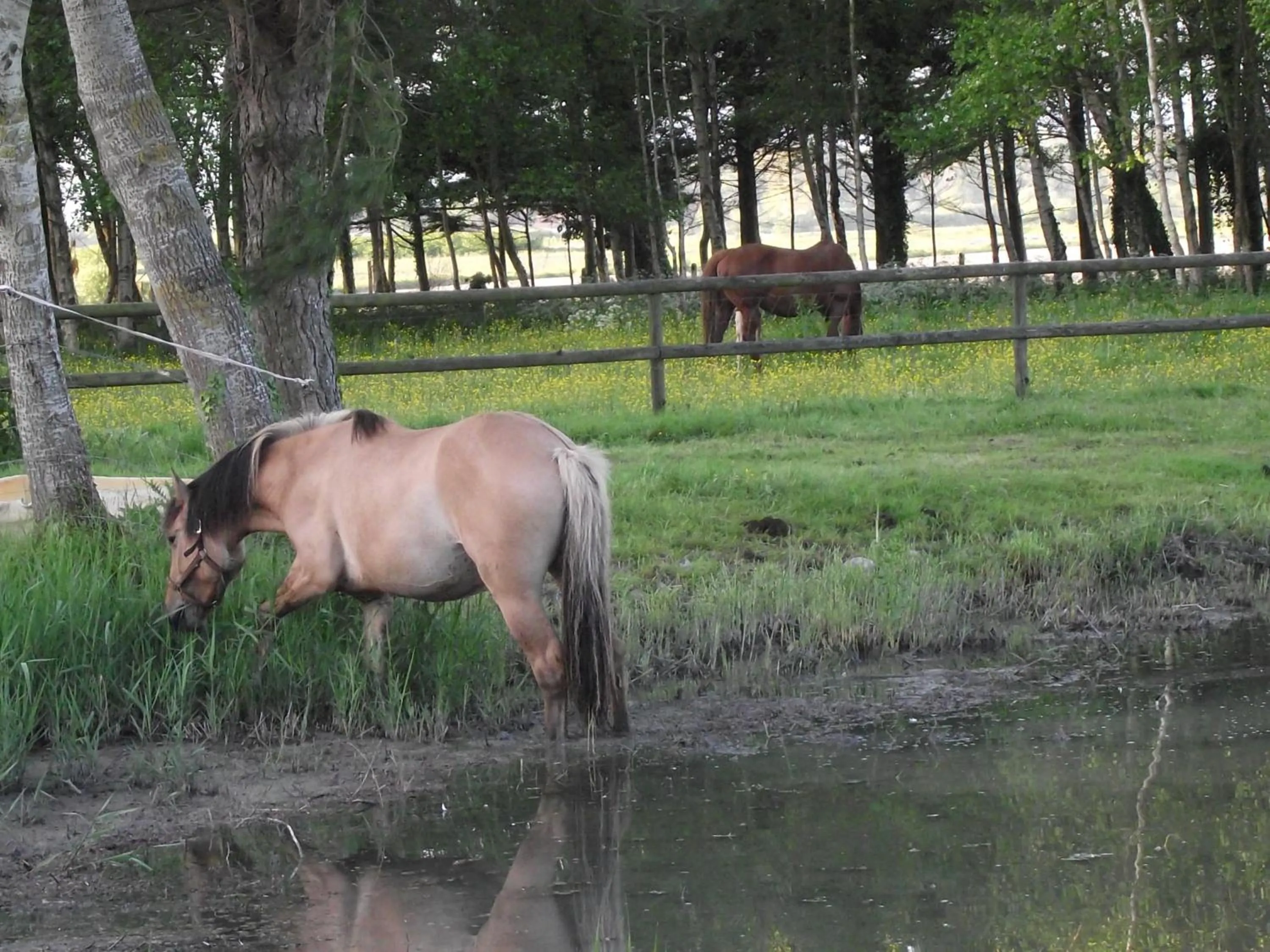 Garden in Les Portes des Froises