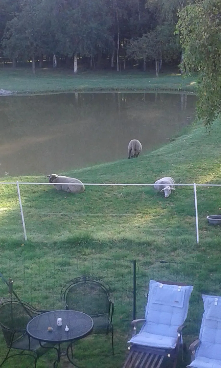 Les Portes des Froises