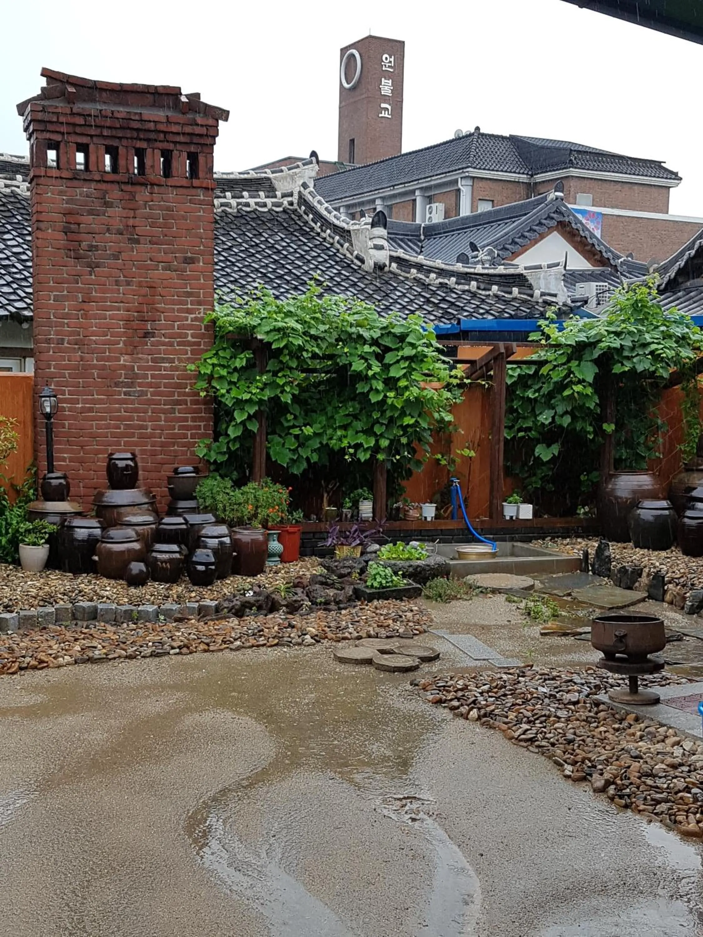 Garden view in The Hanok