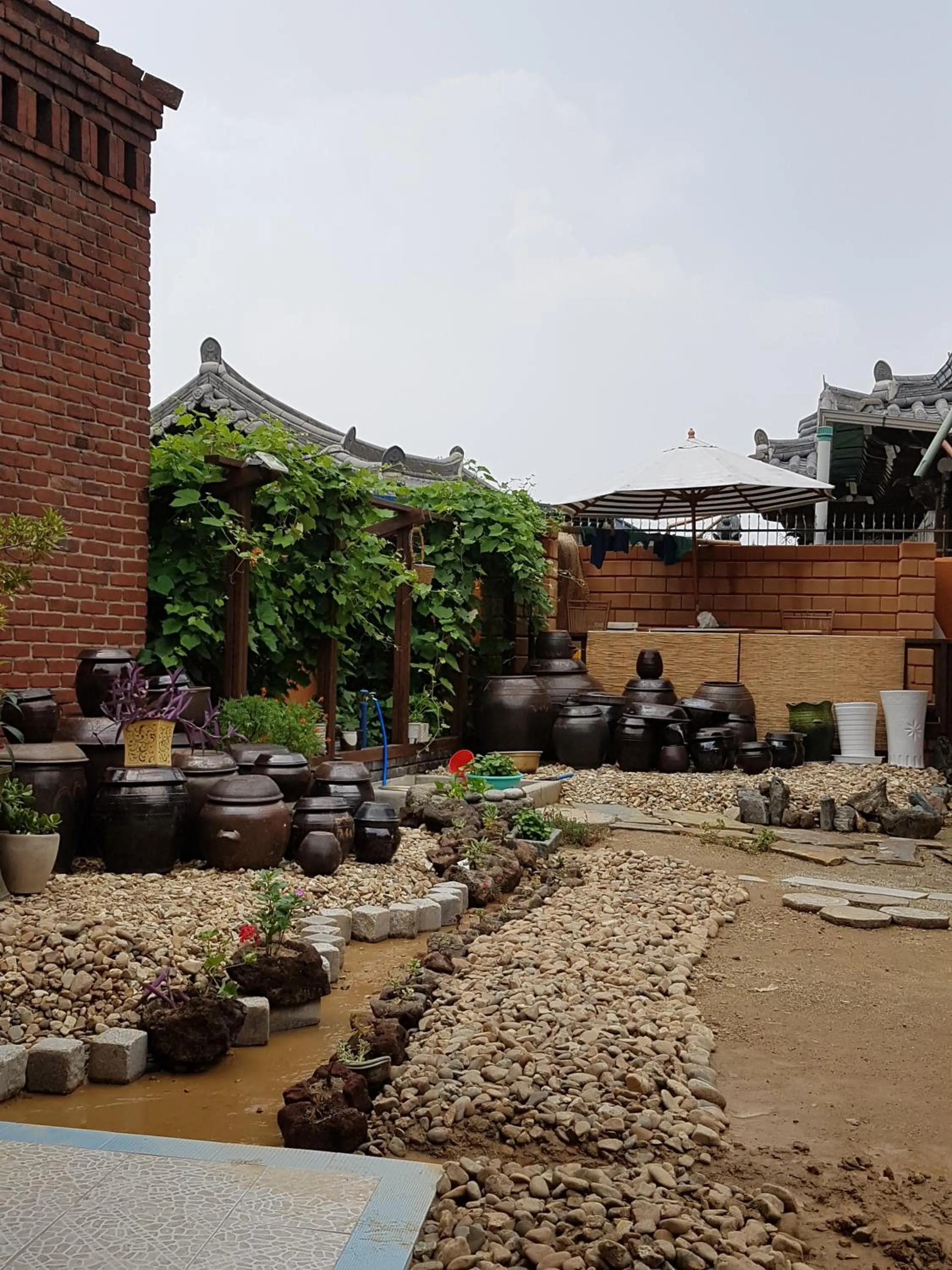 Garden in The Hanok