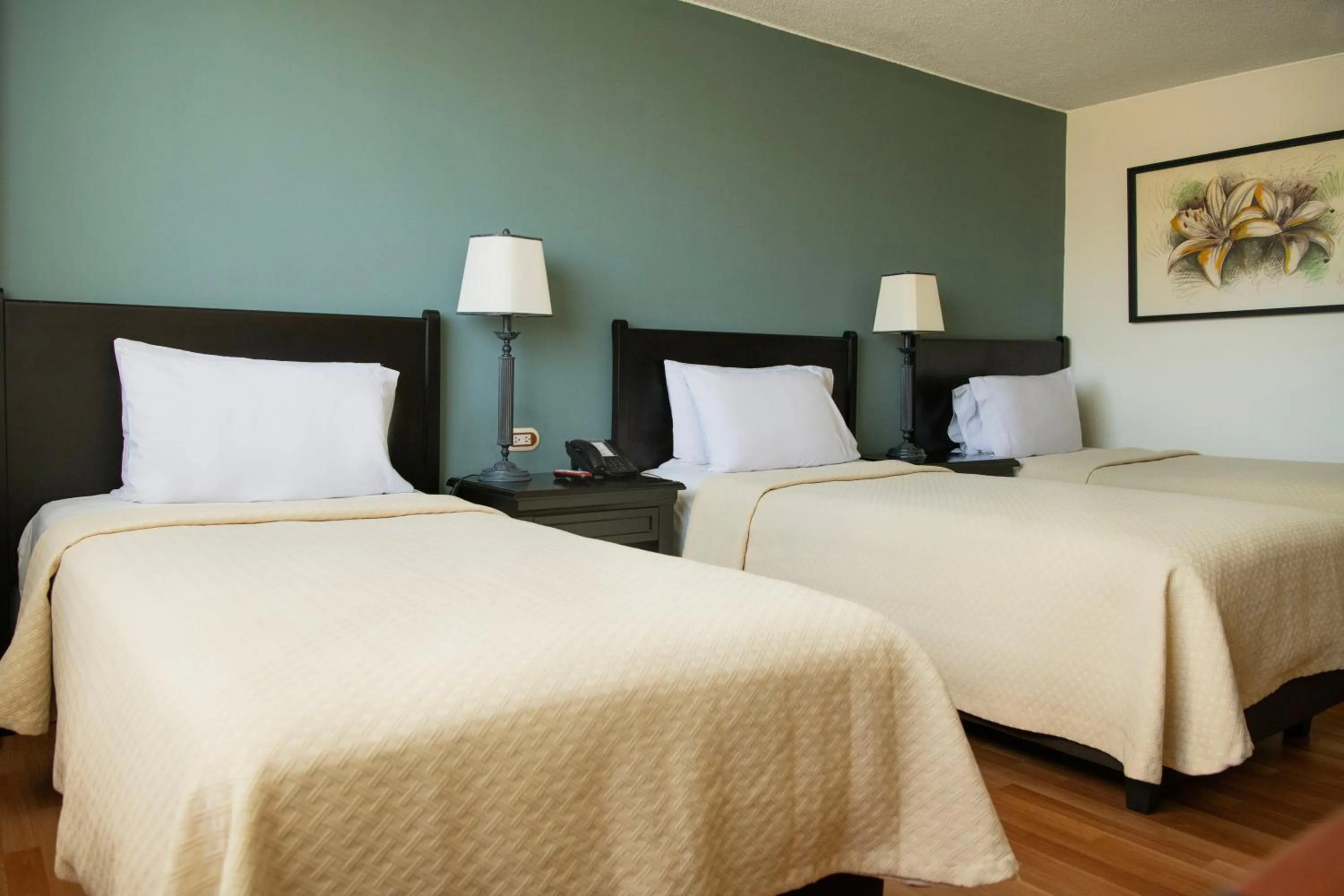 Photo of the whole room, Bed in Hotel Dann Av. 19