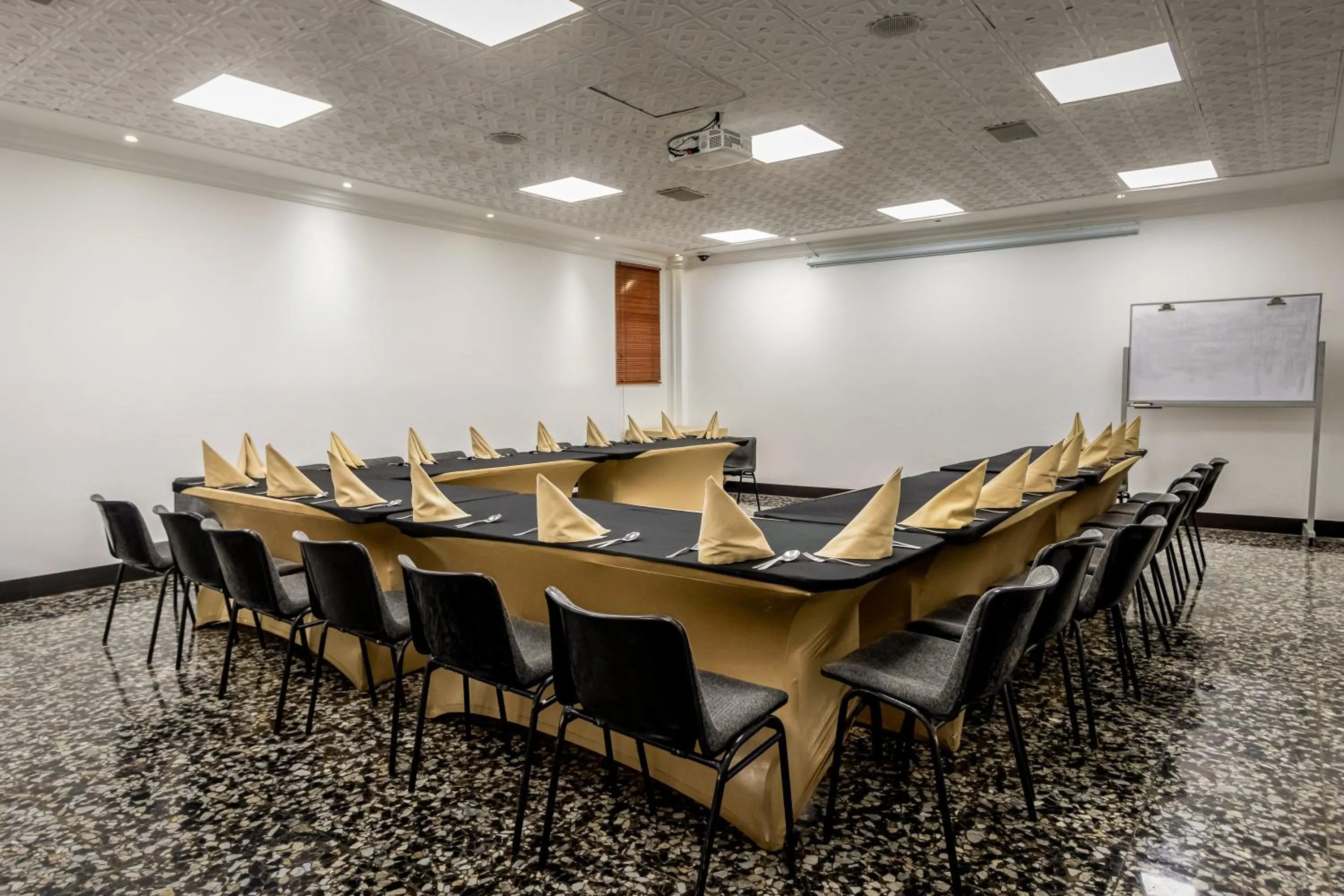 Meeting/conference room in Hotel Dann Av. 19