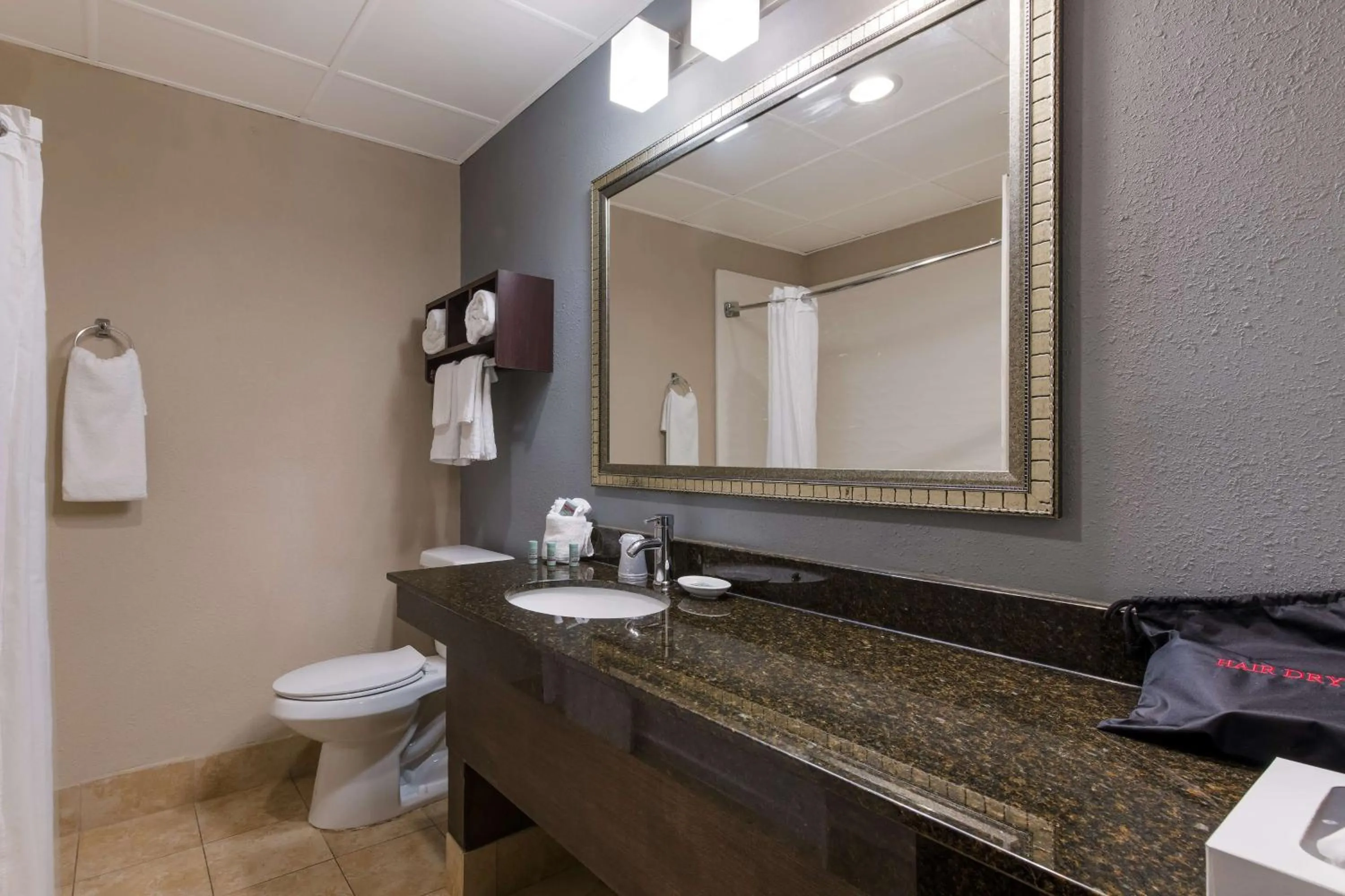 Bathroom in Best Western Albemarle Inn