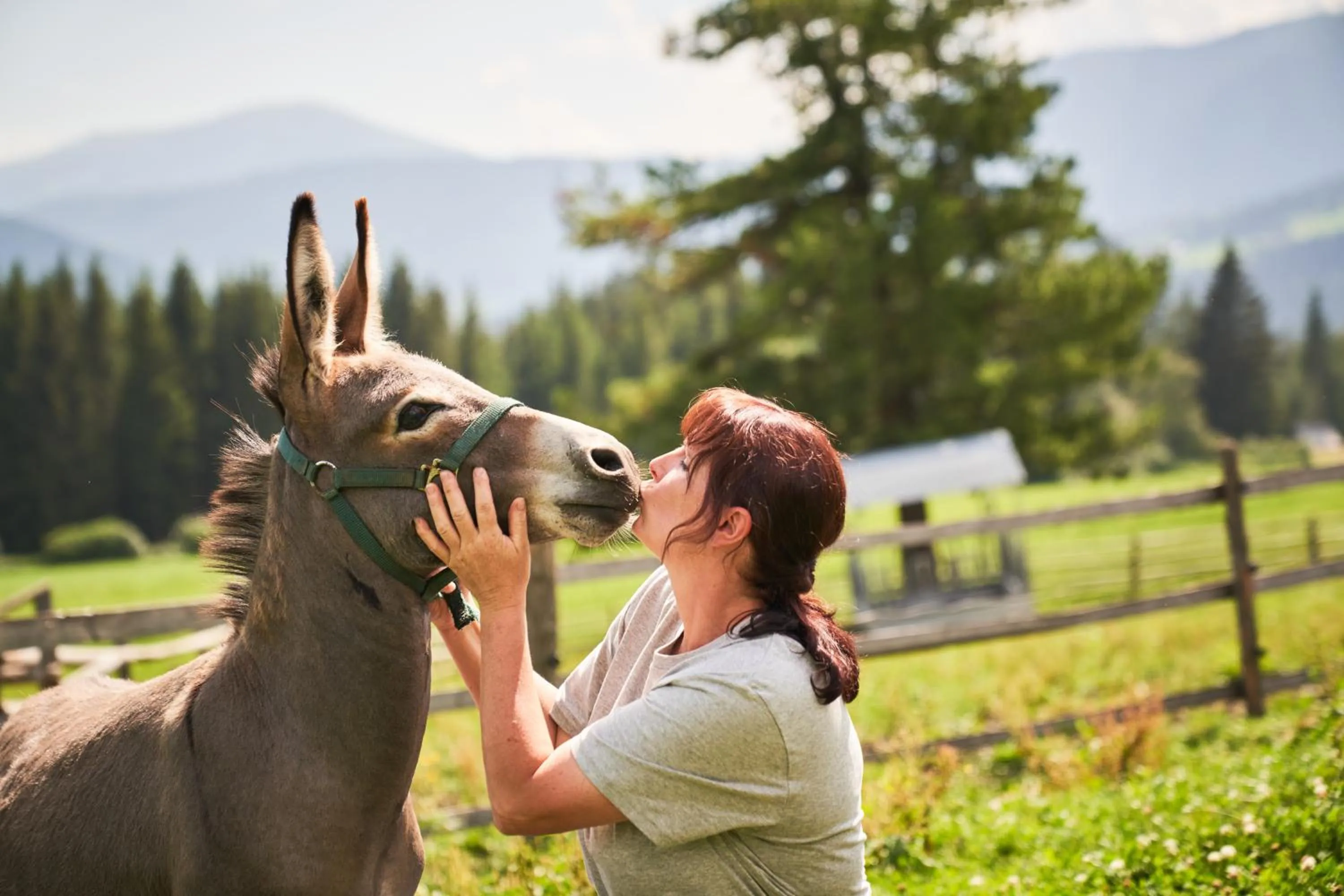 Animals in Praschhof