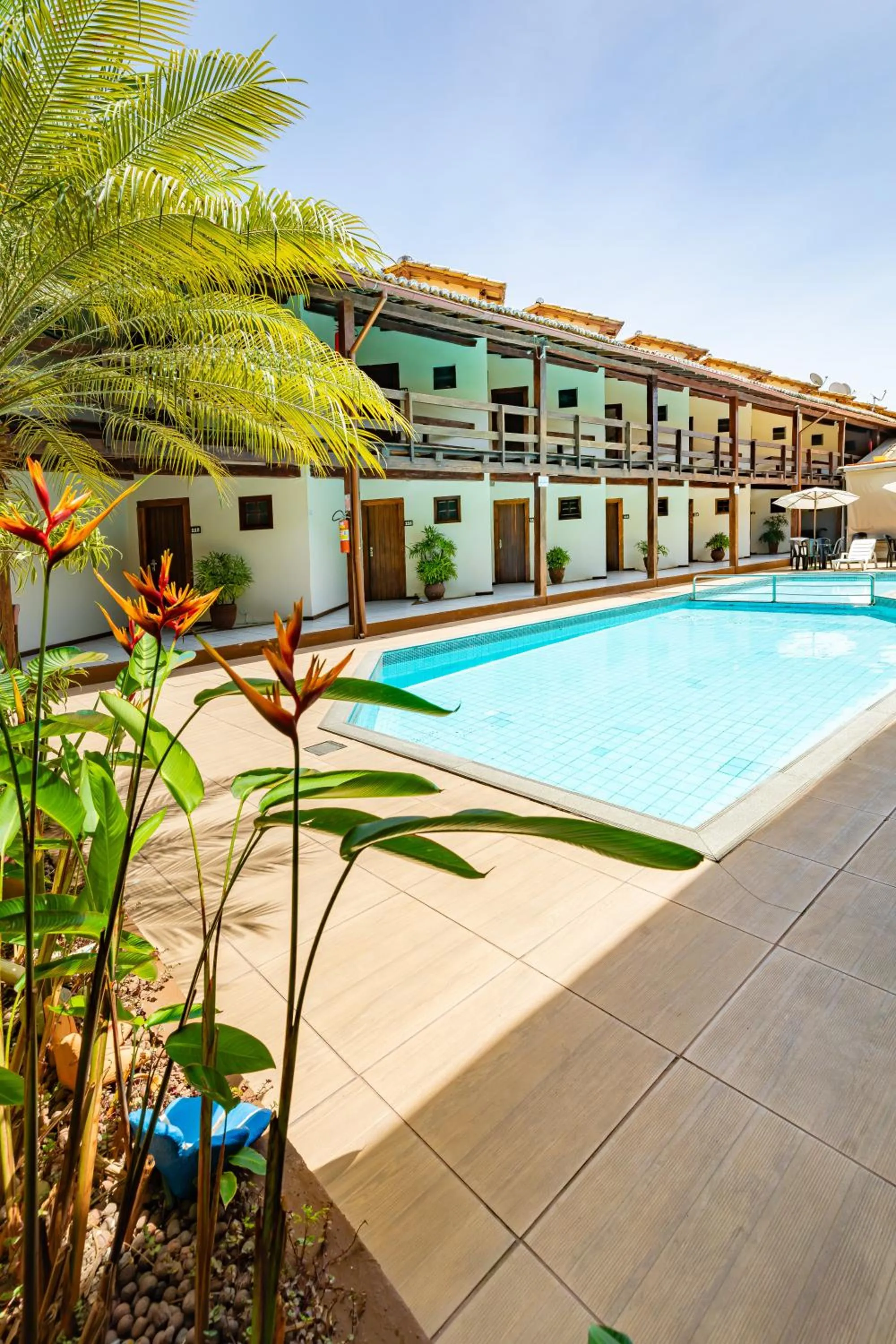 Swimming pool in Hotel Adriattico