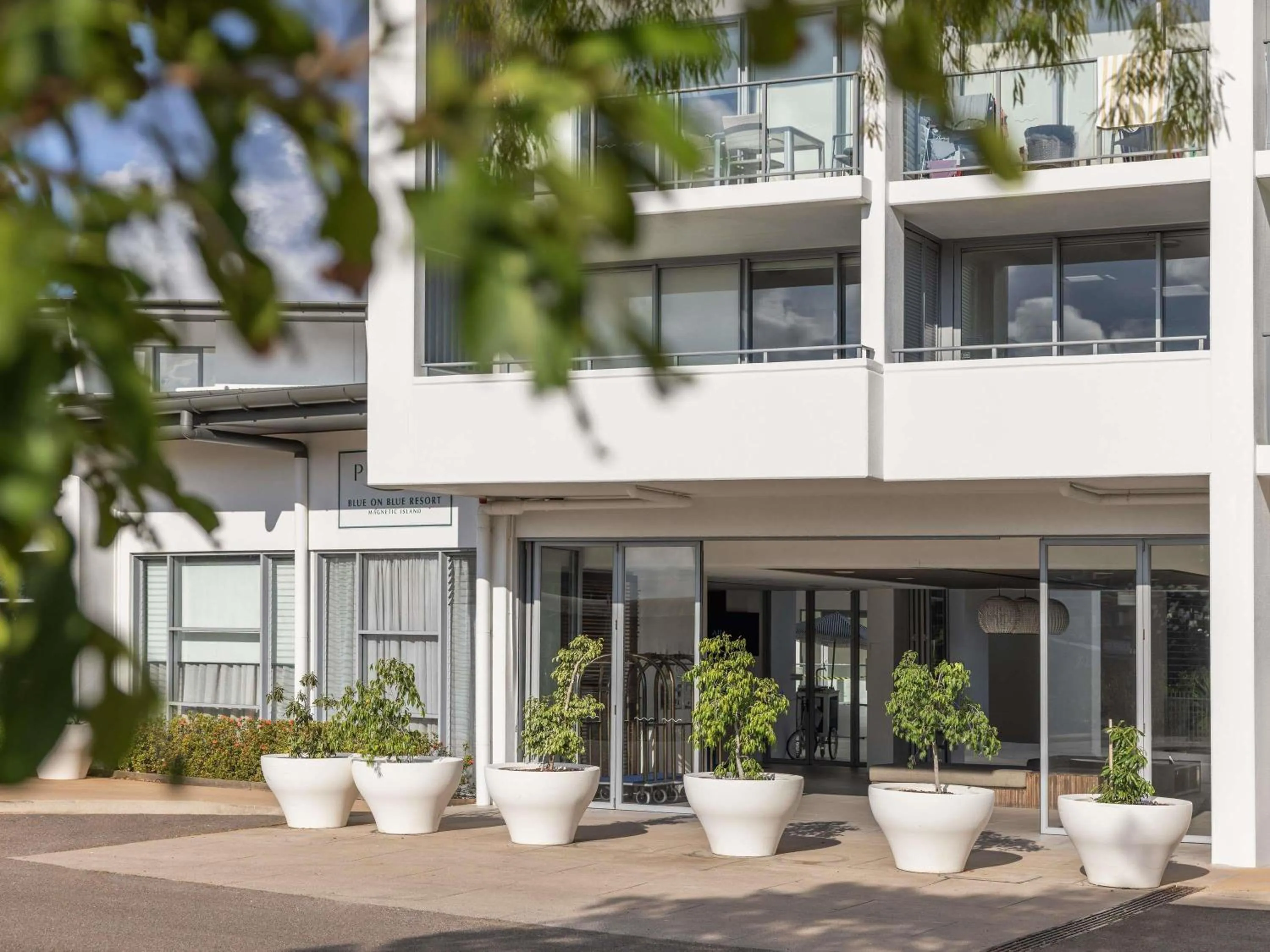 Other in Peppers Blue on Blue