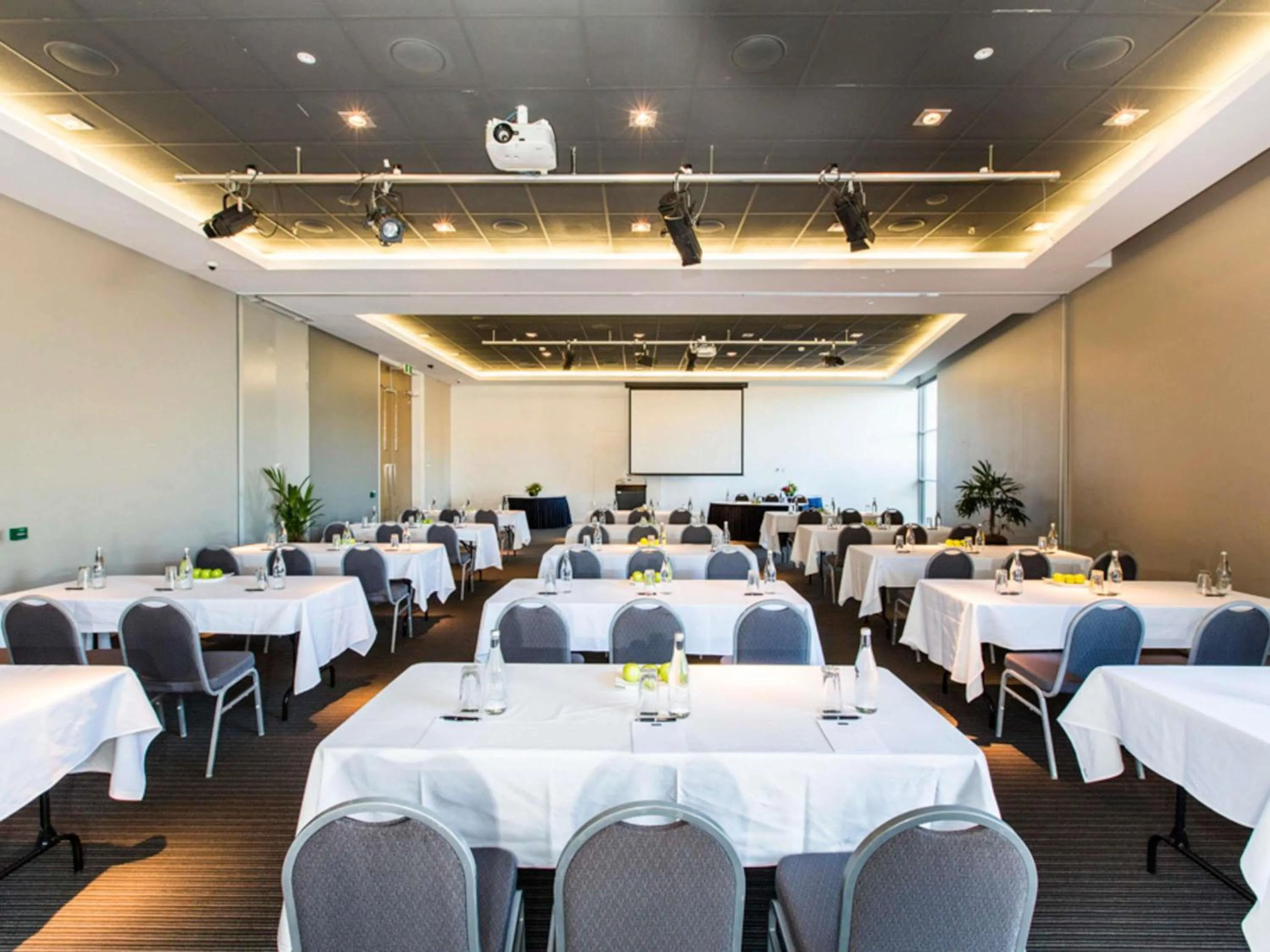 Other in Peppers Blue on Blue