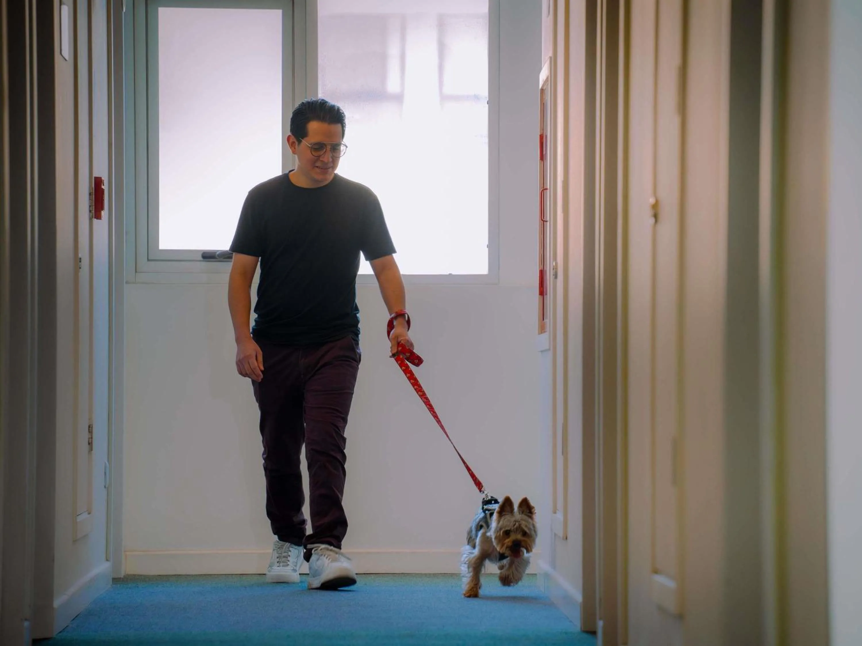 Property building in ibis Copiapo