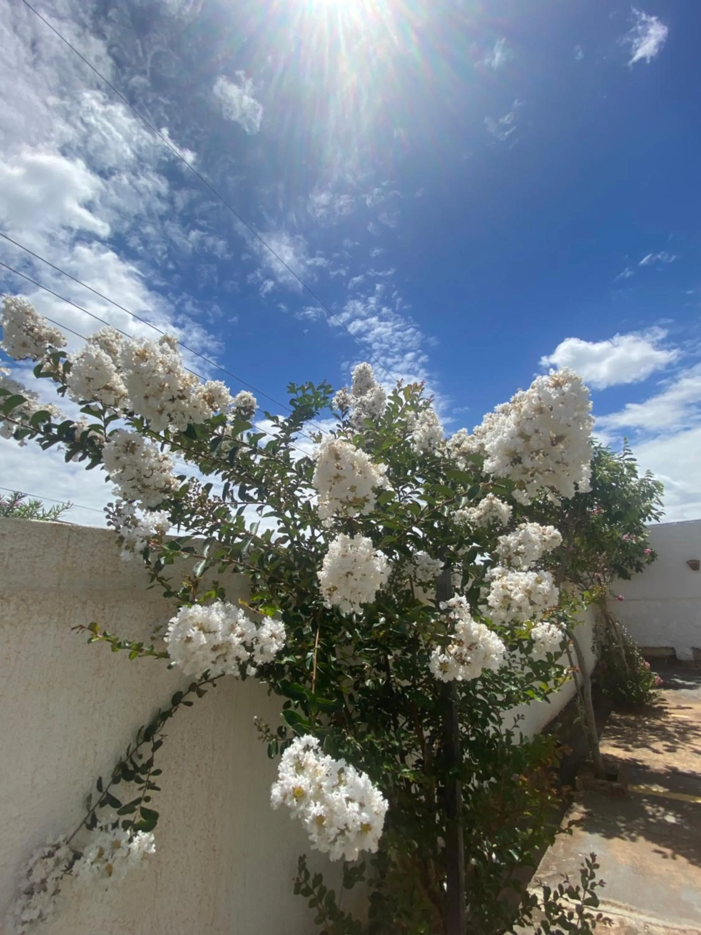 Spring in Queiroz Palace Hotel