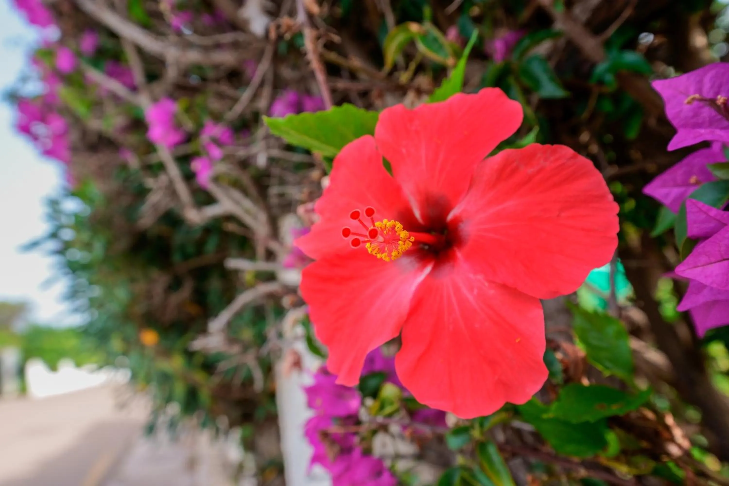 Property building in Hotel Solanas