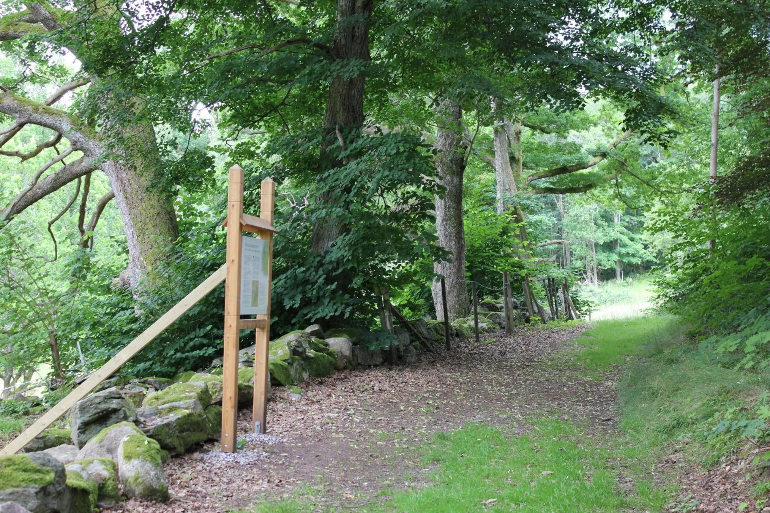 Hiking in Åh Stifts- & Konferensgård