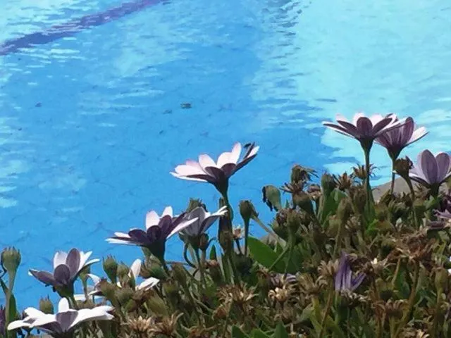 Swimming pool in Etna Hut