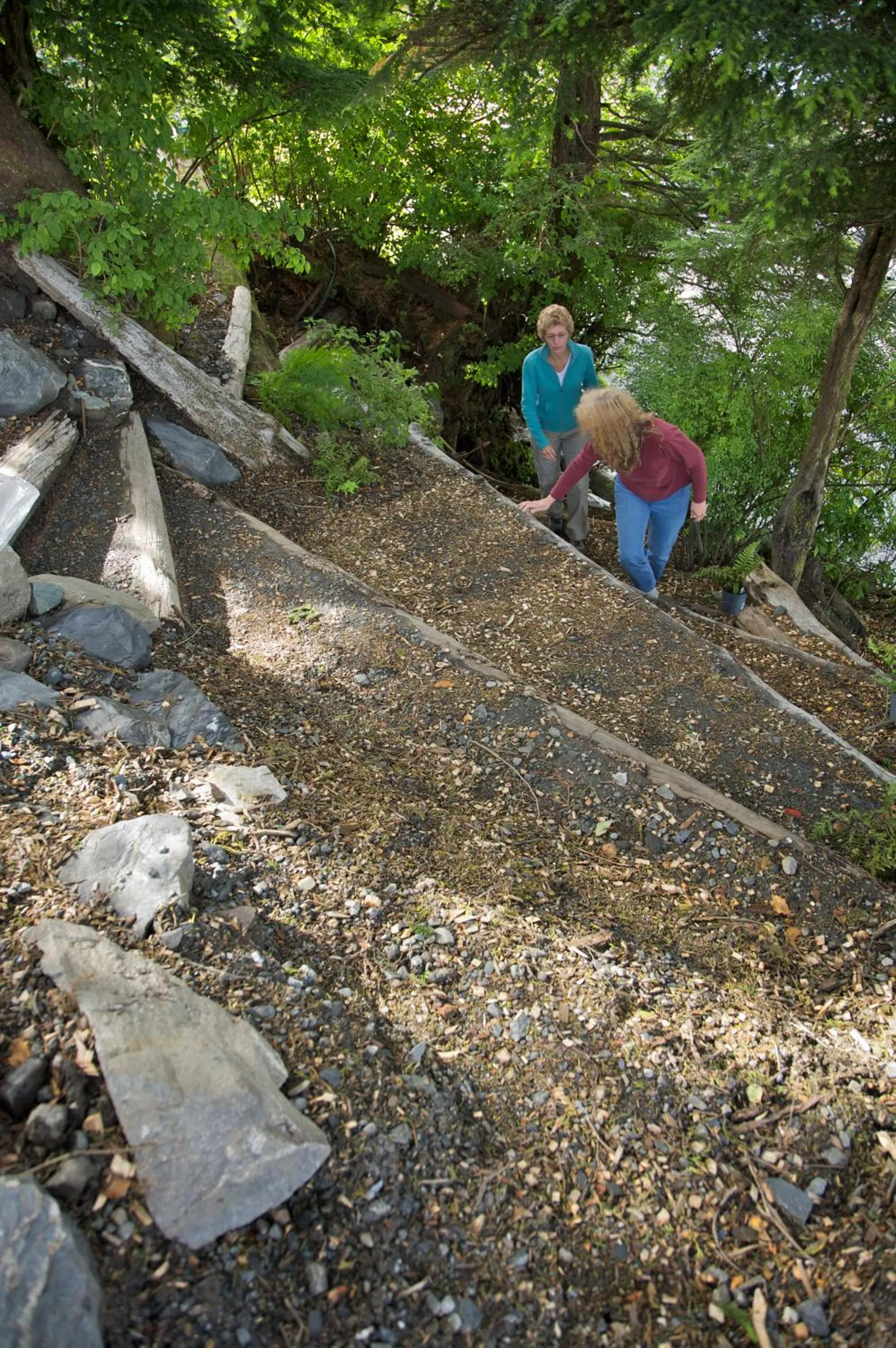 Garden in Black Bear Inn