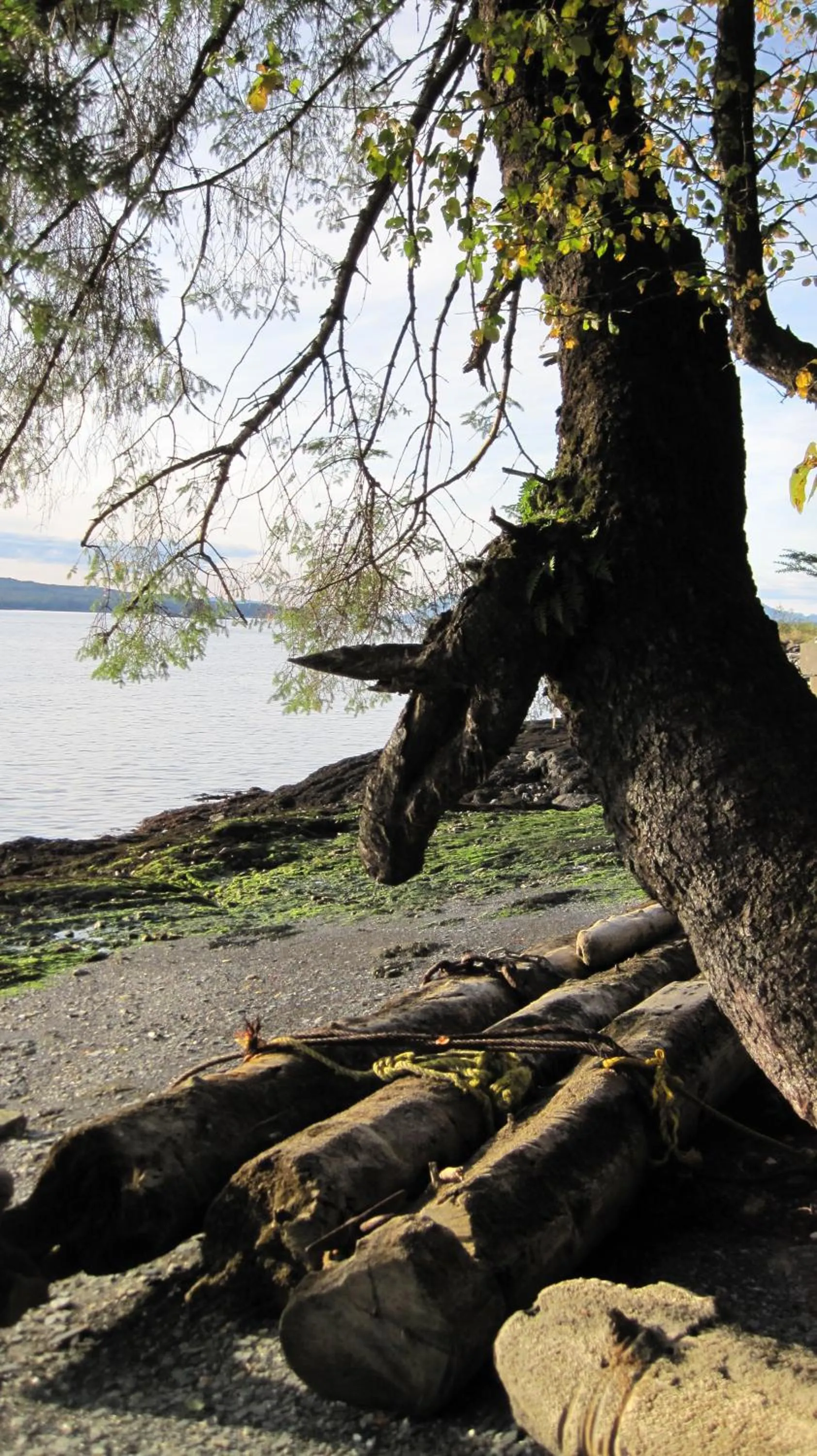 Beach in Black Bear Inn