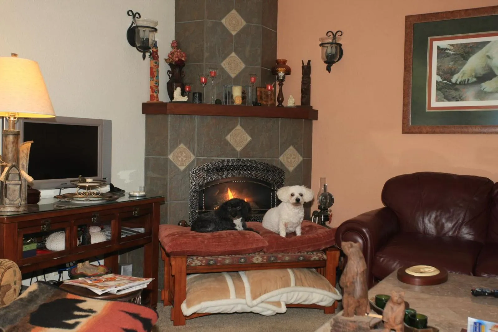 Communal lounge/ TV room in Black Bear Inn