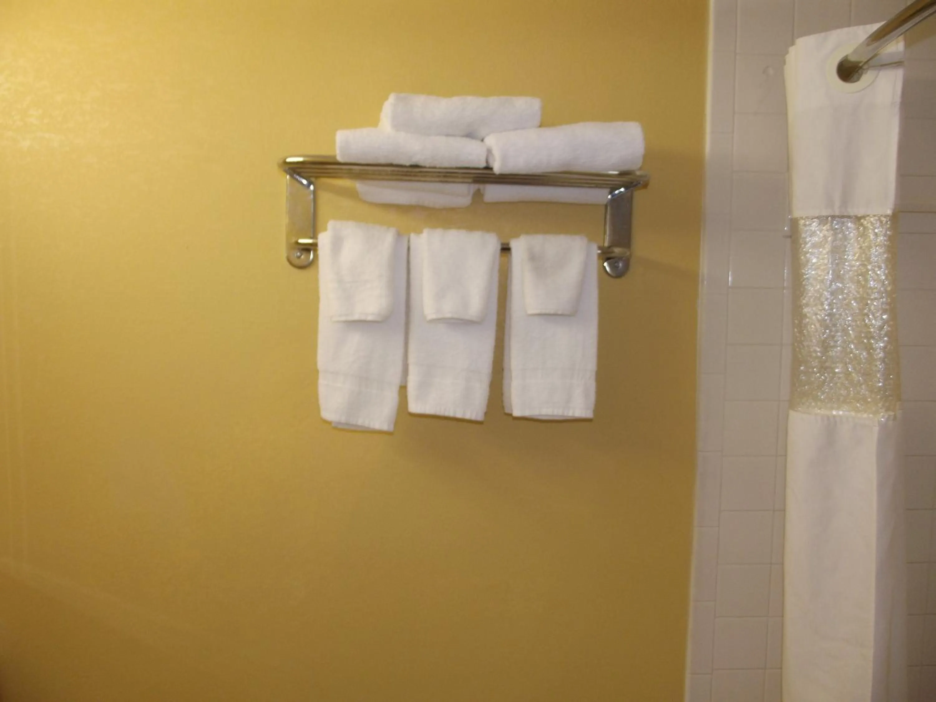 Bathroom in Ambassadors Inn & Suites