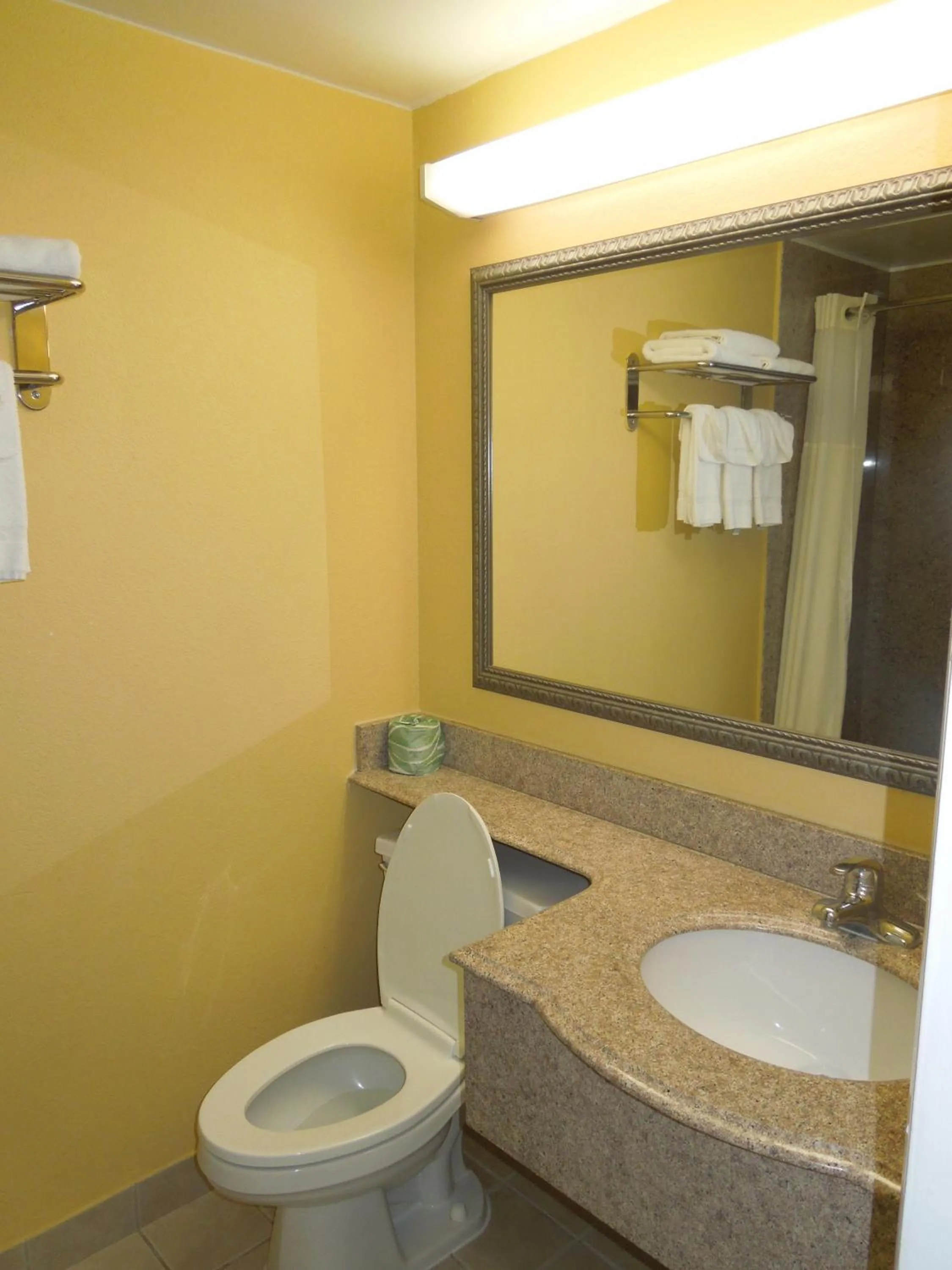 Toilet in Ambassadors Inn & Suites