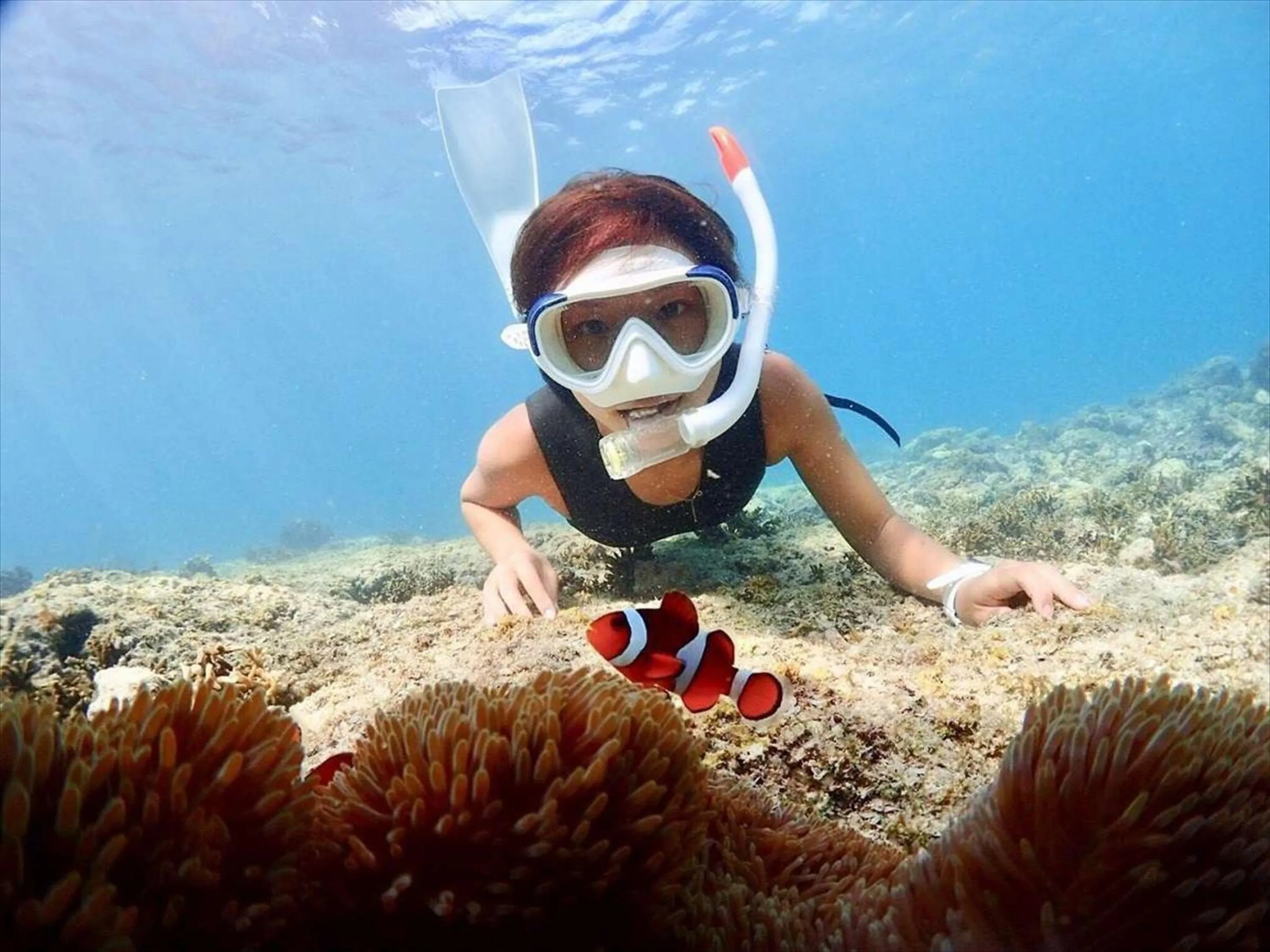 Beach in Hotel Locus