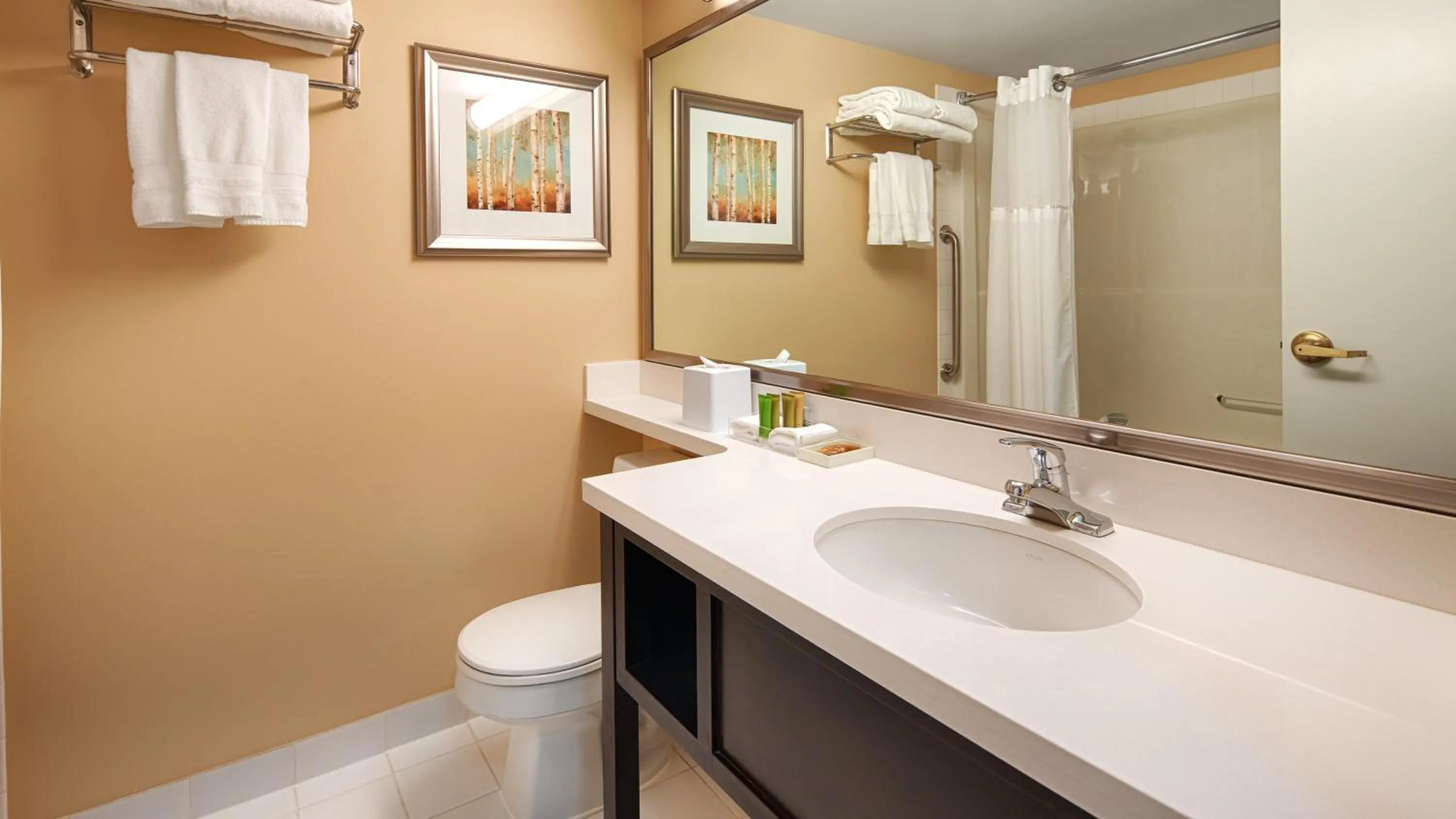 Bathroom in Best Western Plus Winnipeg Airport Hotel