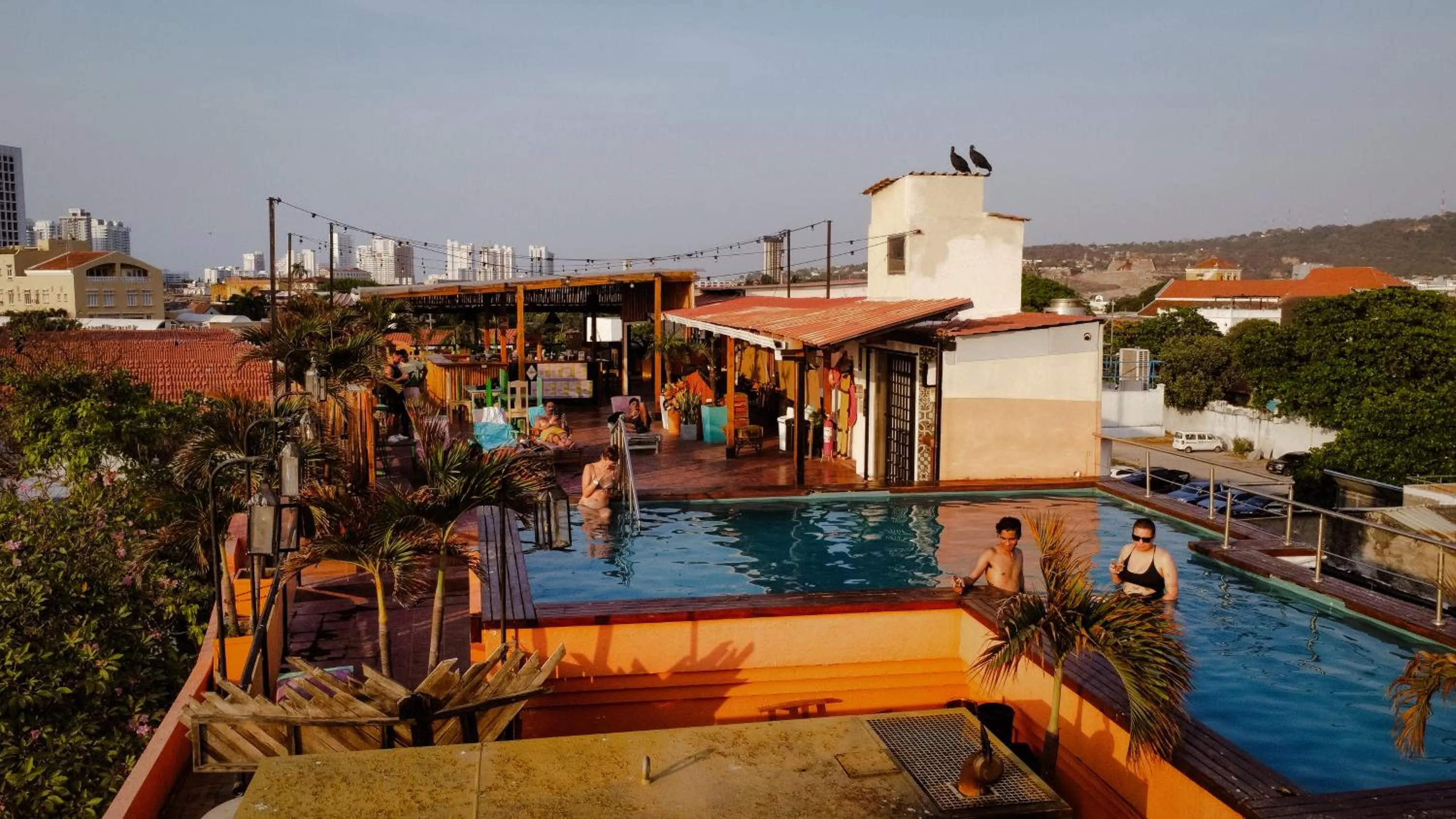 Pool view in Selina Cartagena