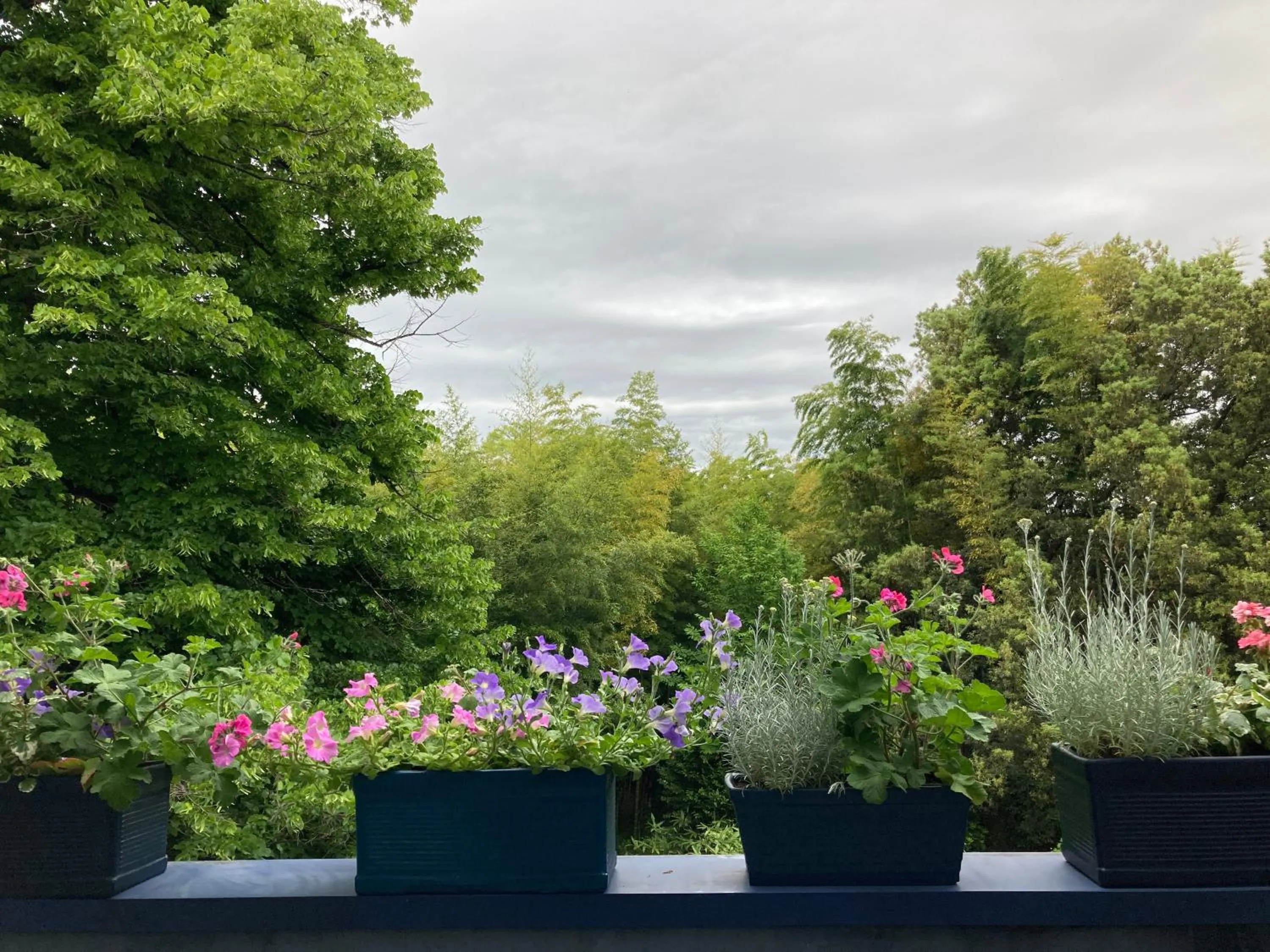 La Casa Blu di Monasteto