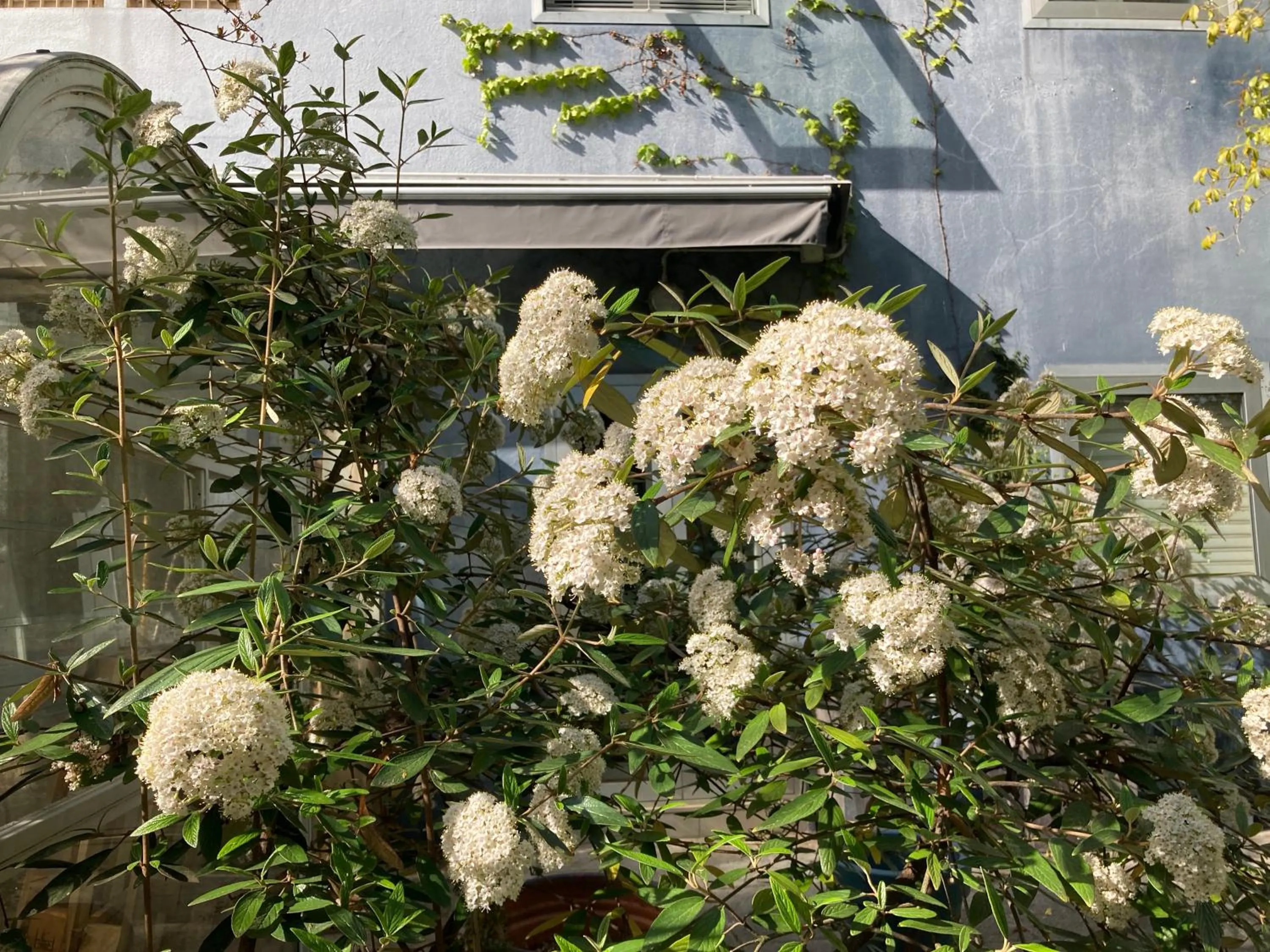 Property building in La Casa Blu di Monasteto