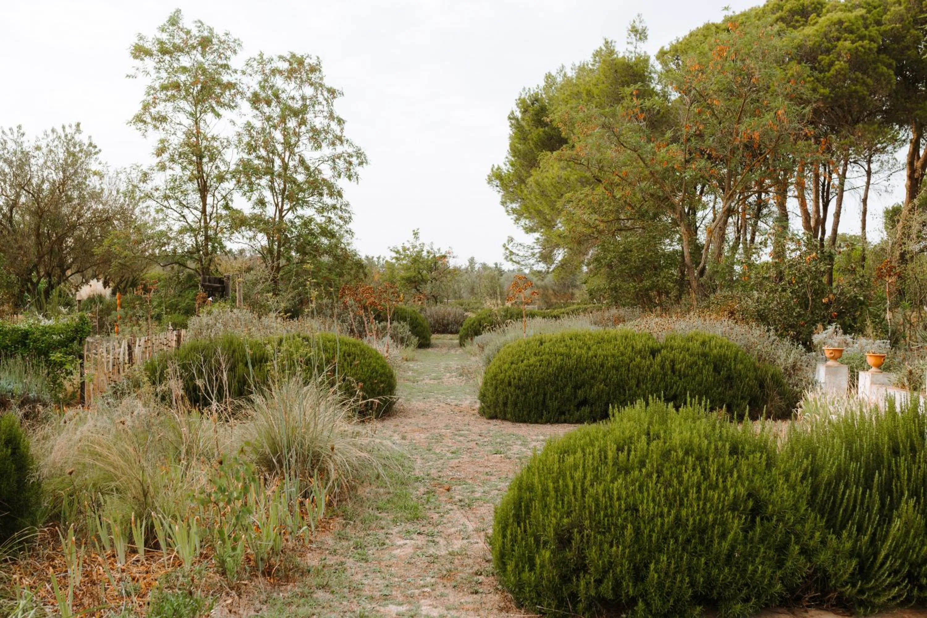 Garden in Giardino della Moscatella