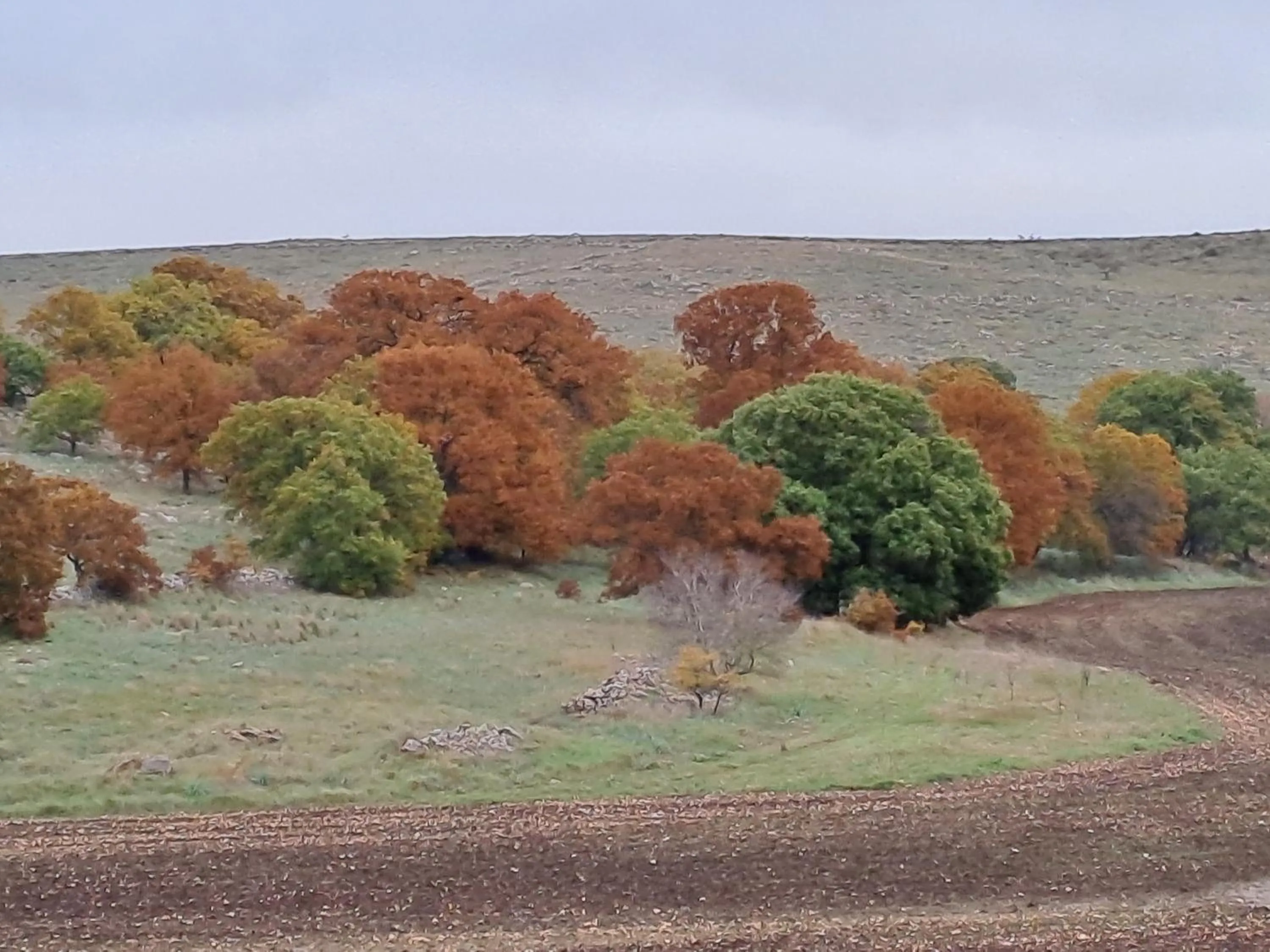 Nearby landmark in Giardino della Moscatella