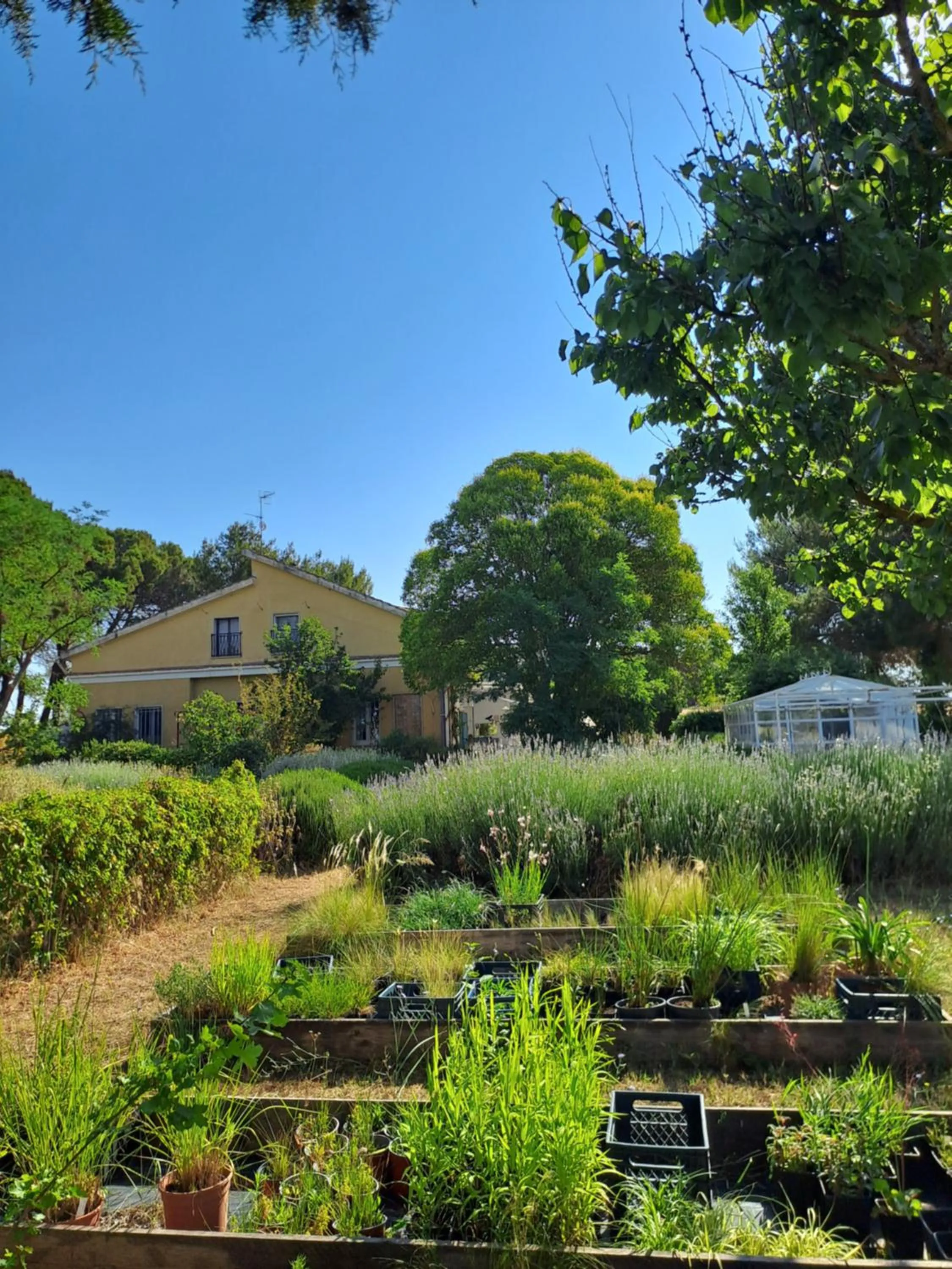 Garden in Giardino della Moscatella