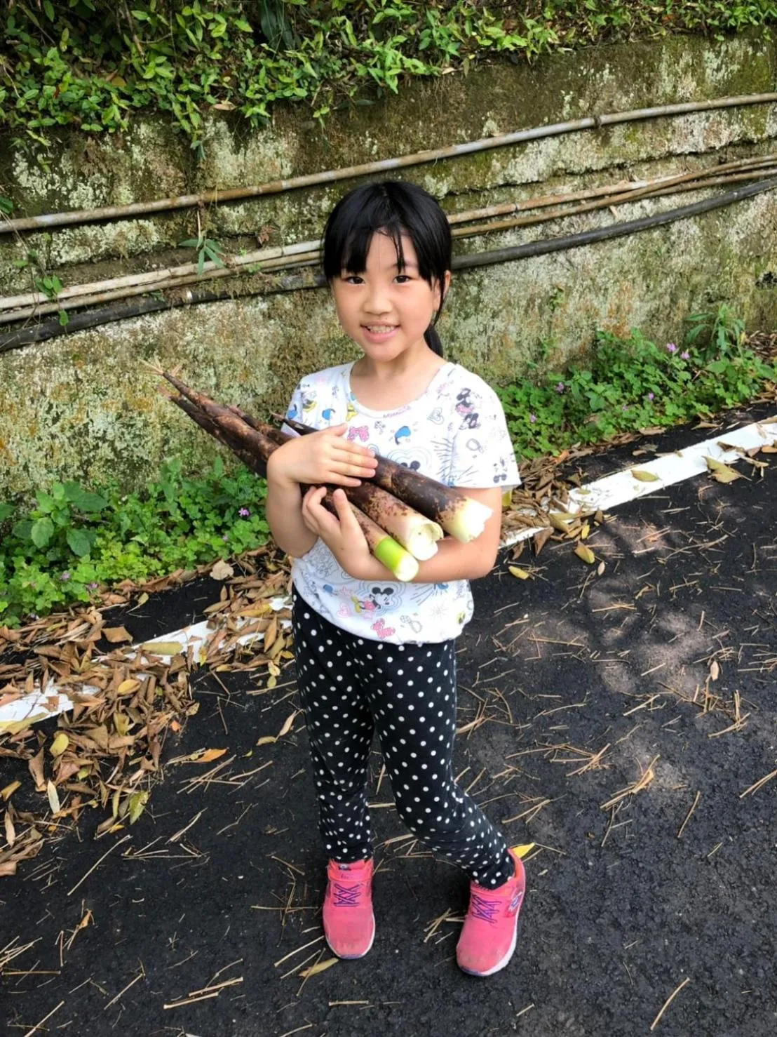 The house behind stream