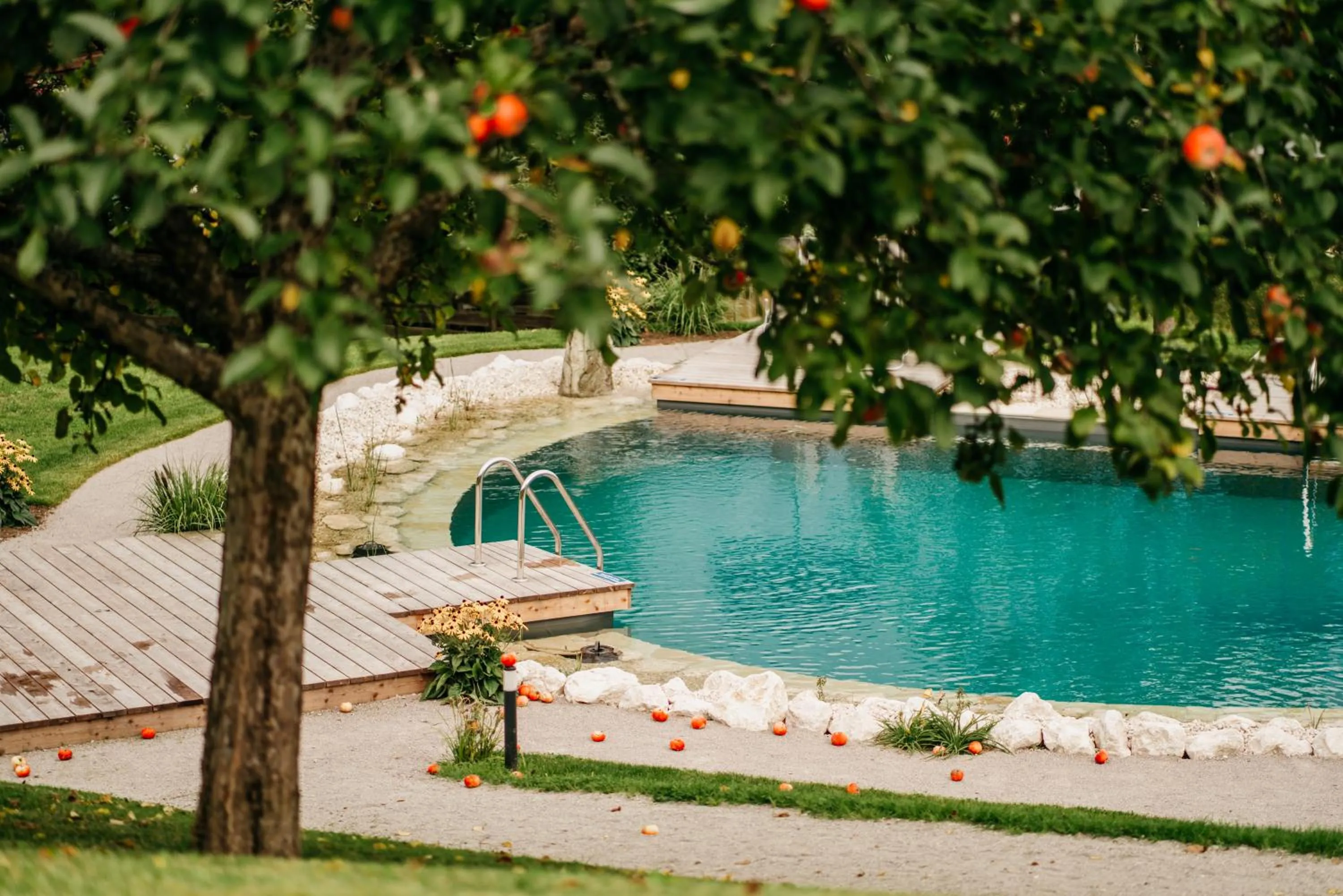 Swimming pool in Das Stoaberg