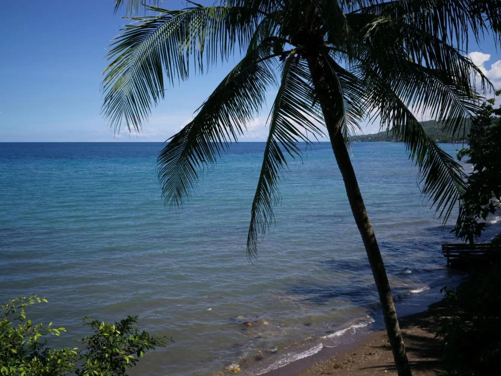 Las Flores Beachside Hotel