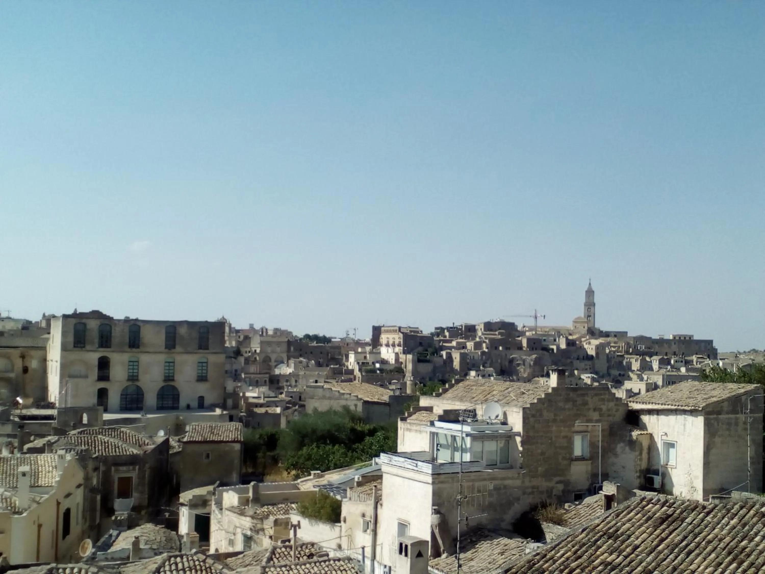 Bird's eye view in Sister's love