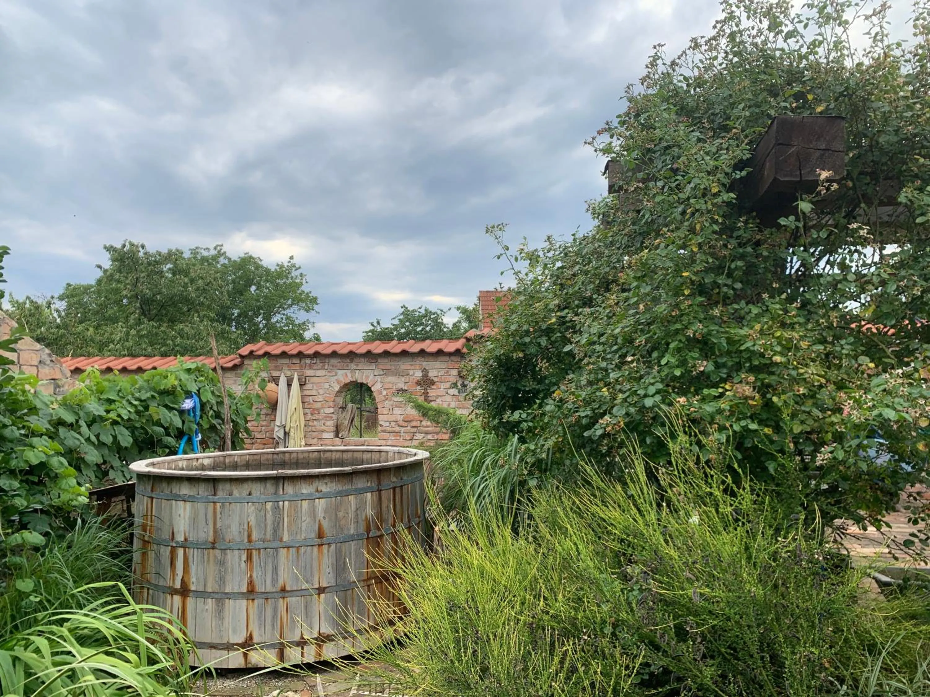 Garden in Ubytovanie u martina