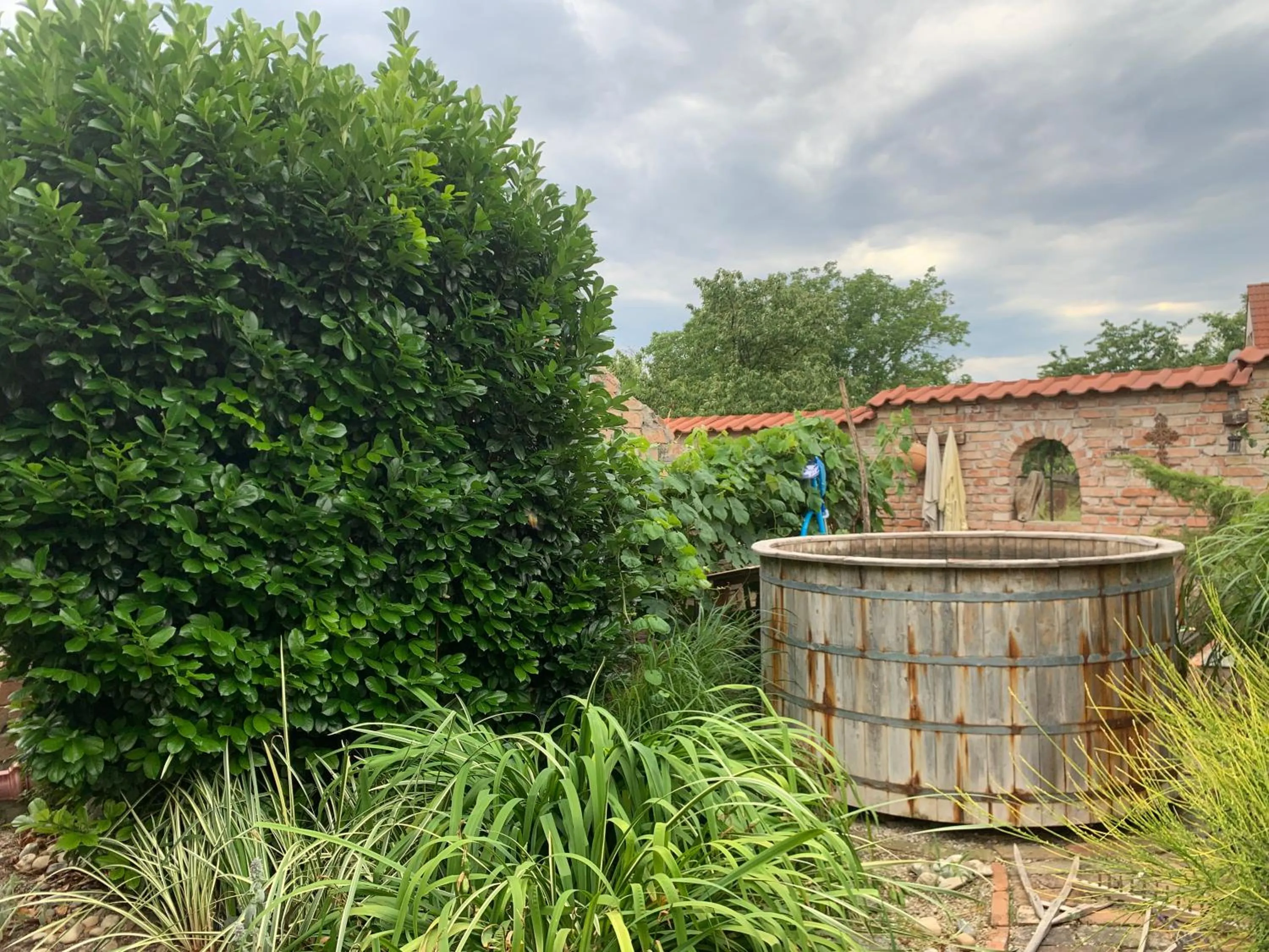 Garden in Ubytovanie u martina