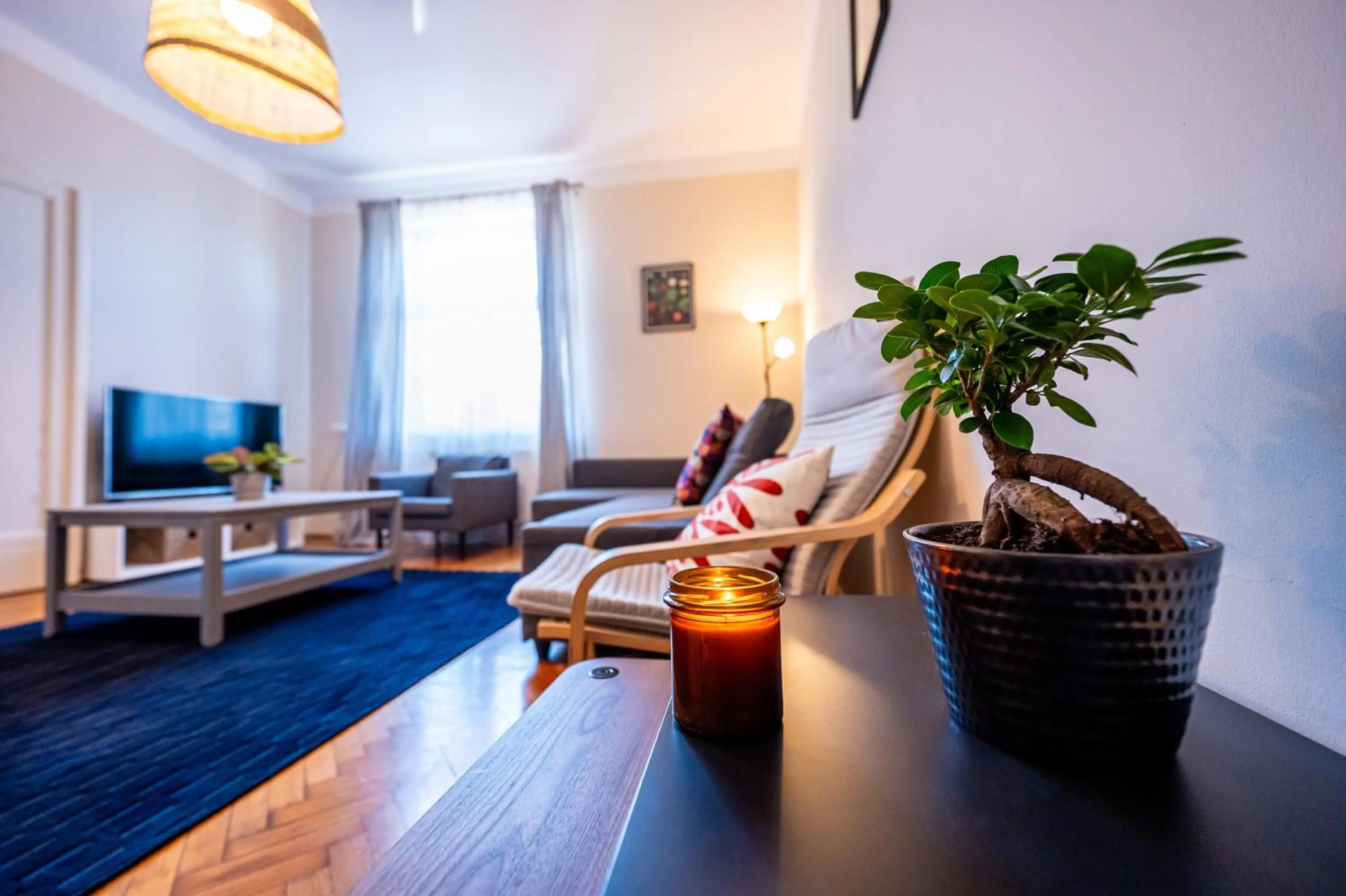 TV and multimedia in Trip Apartments