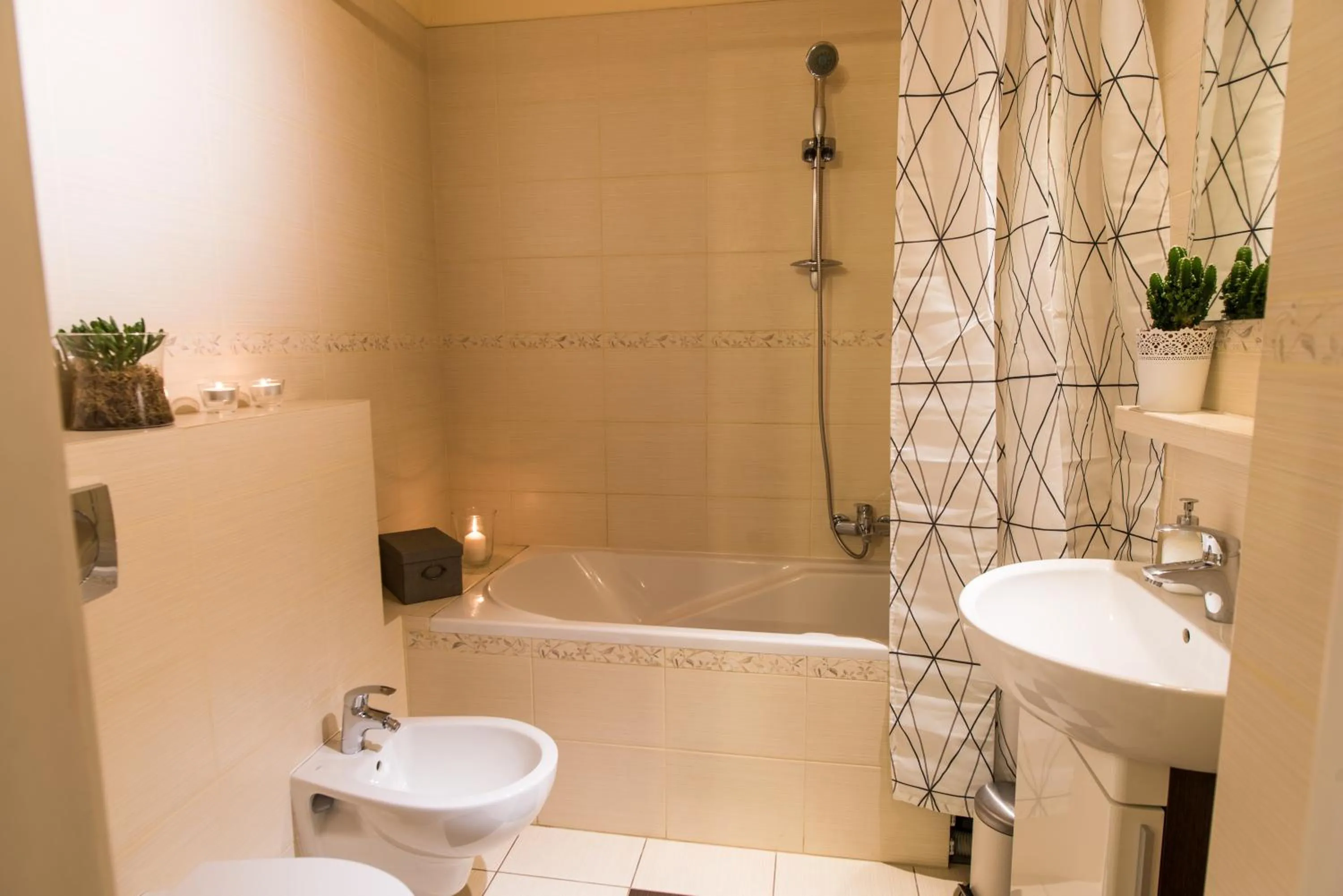 Shower in Trip Apartments