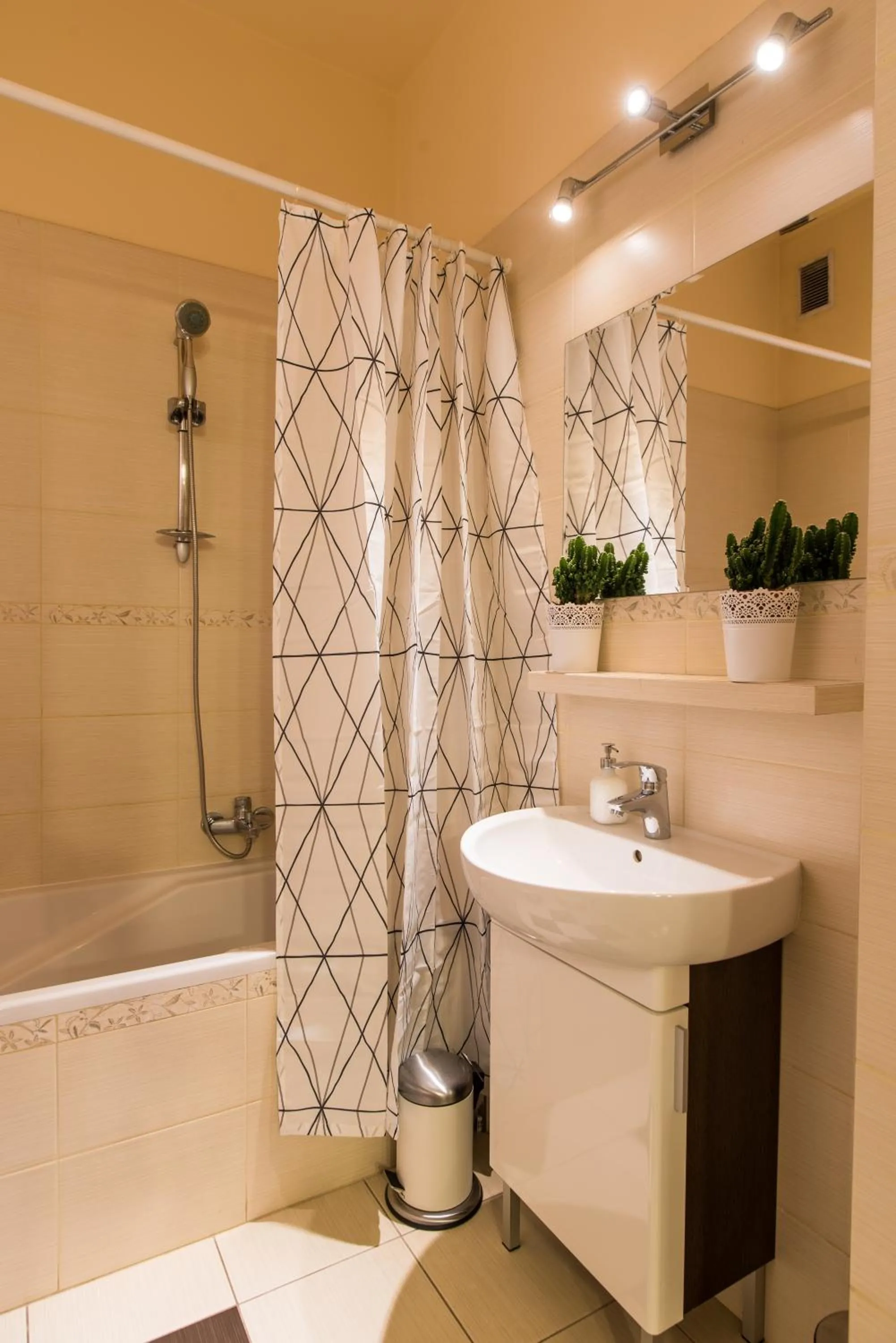 Shower in Trip Apartments