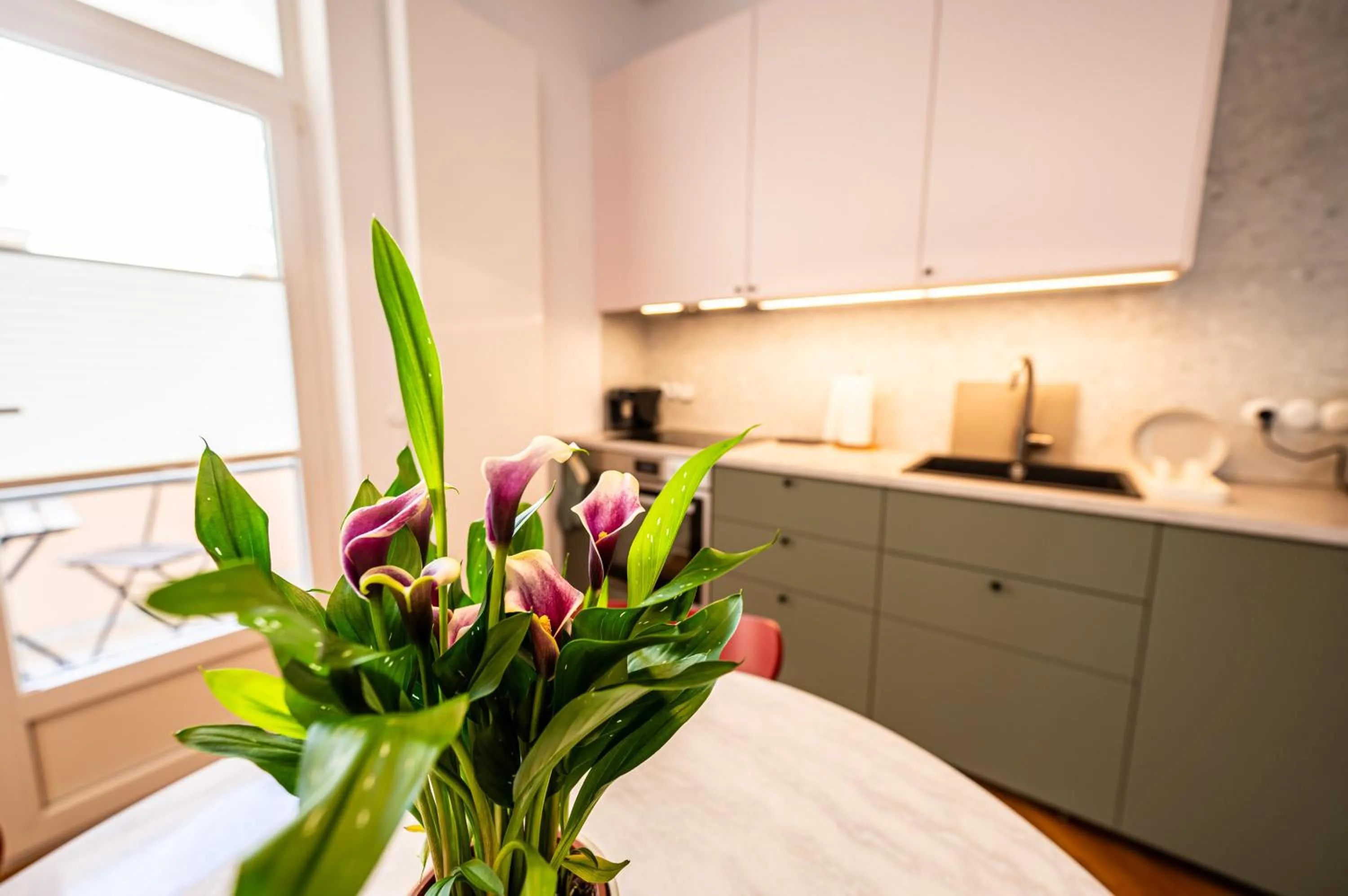 Kitchen or kitchenette in Trip Apartments
