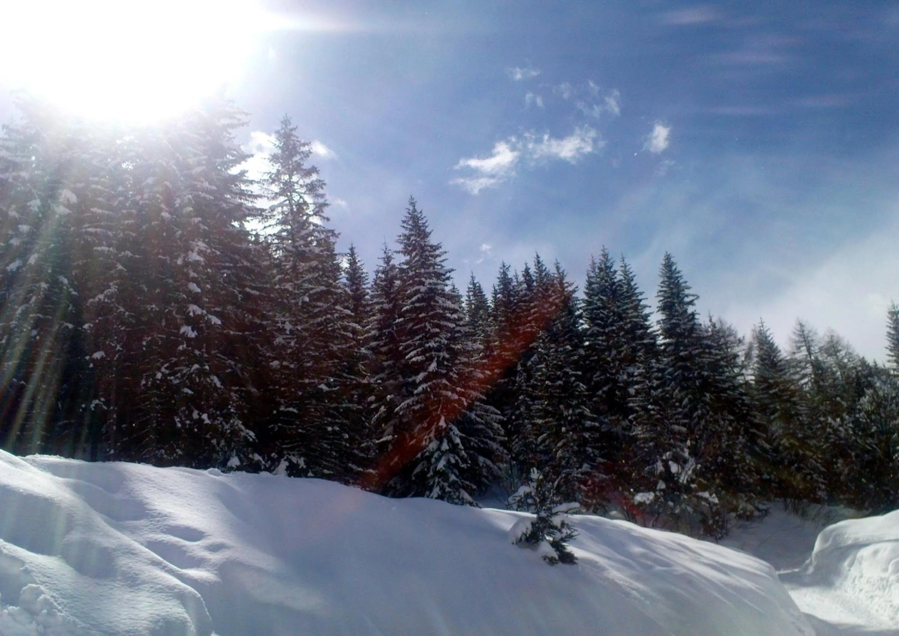 Winter in Alpenhäuser Marcius
