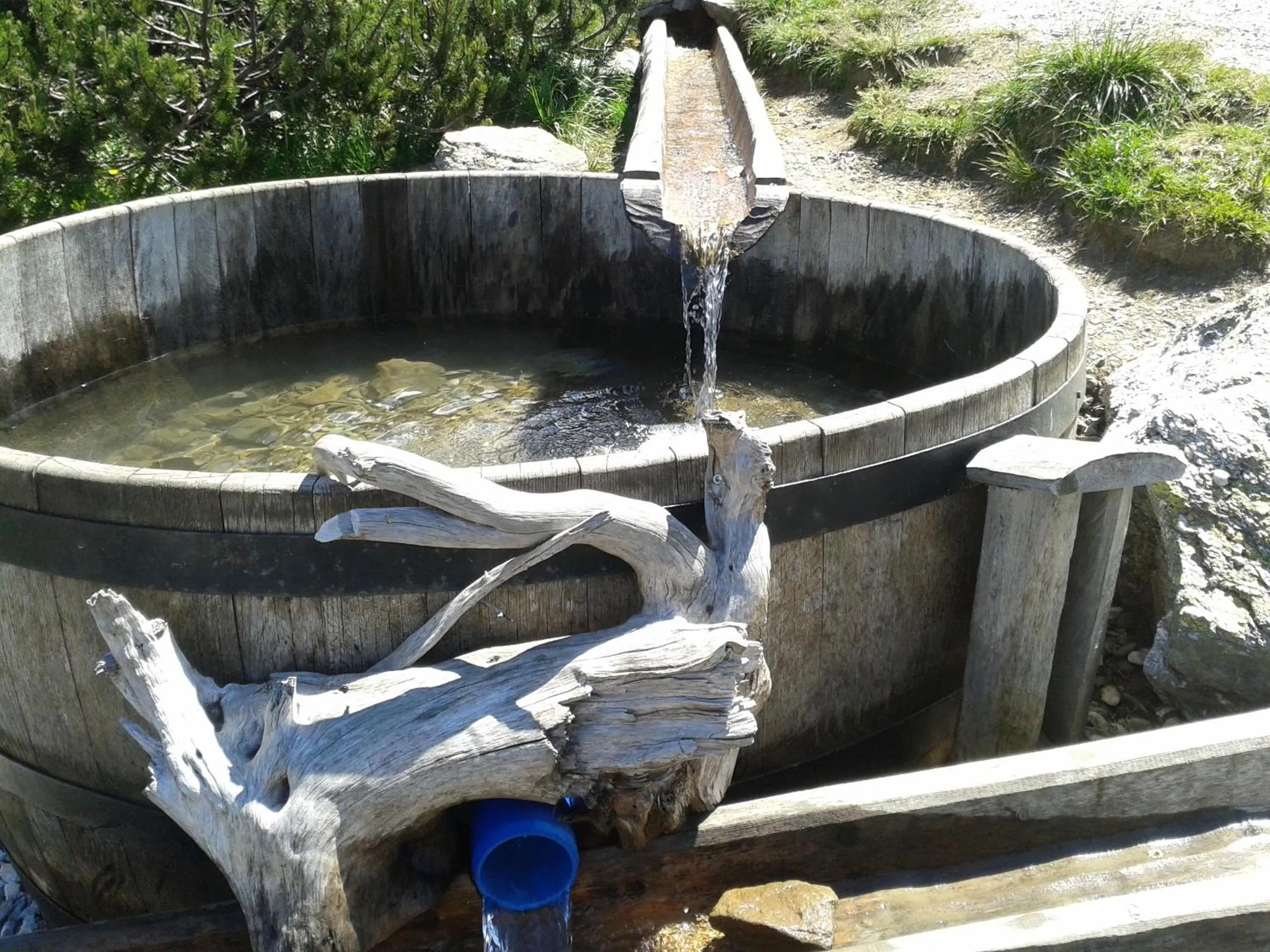 Summer in Alpenhäuser Marcius