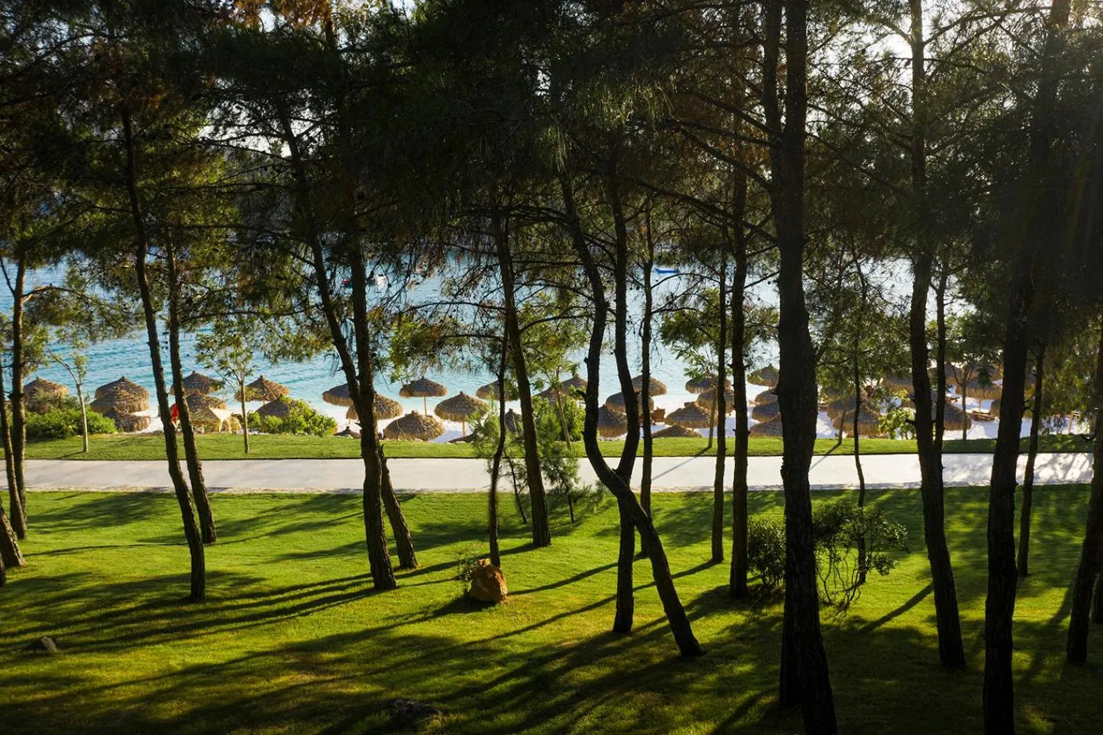 Natural landscape in Lujo Hotel Bodrum