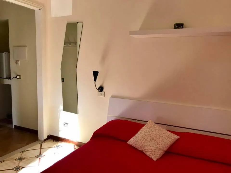 Photo of the whole room in AmoRosita