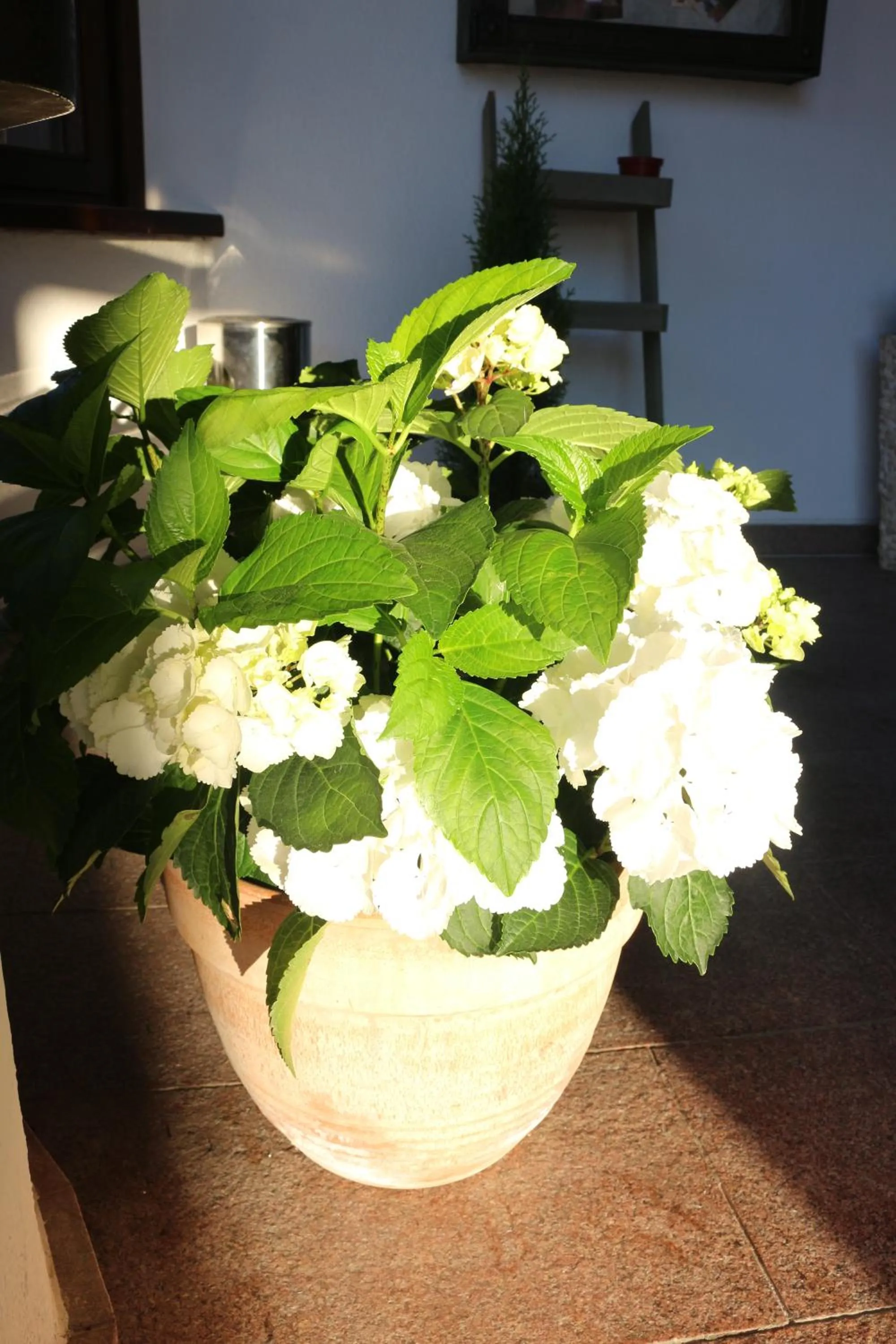 Other in Hotel Landle