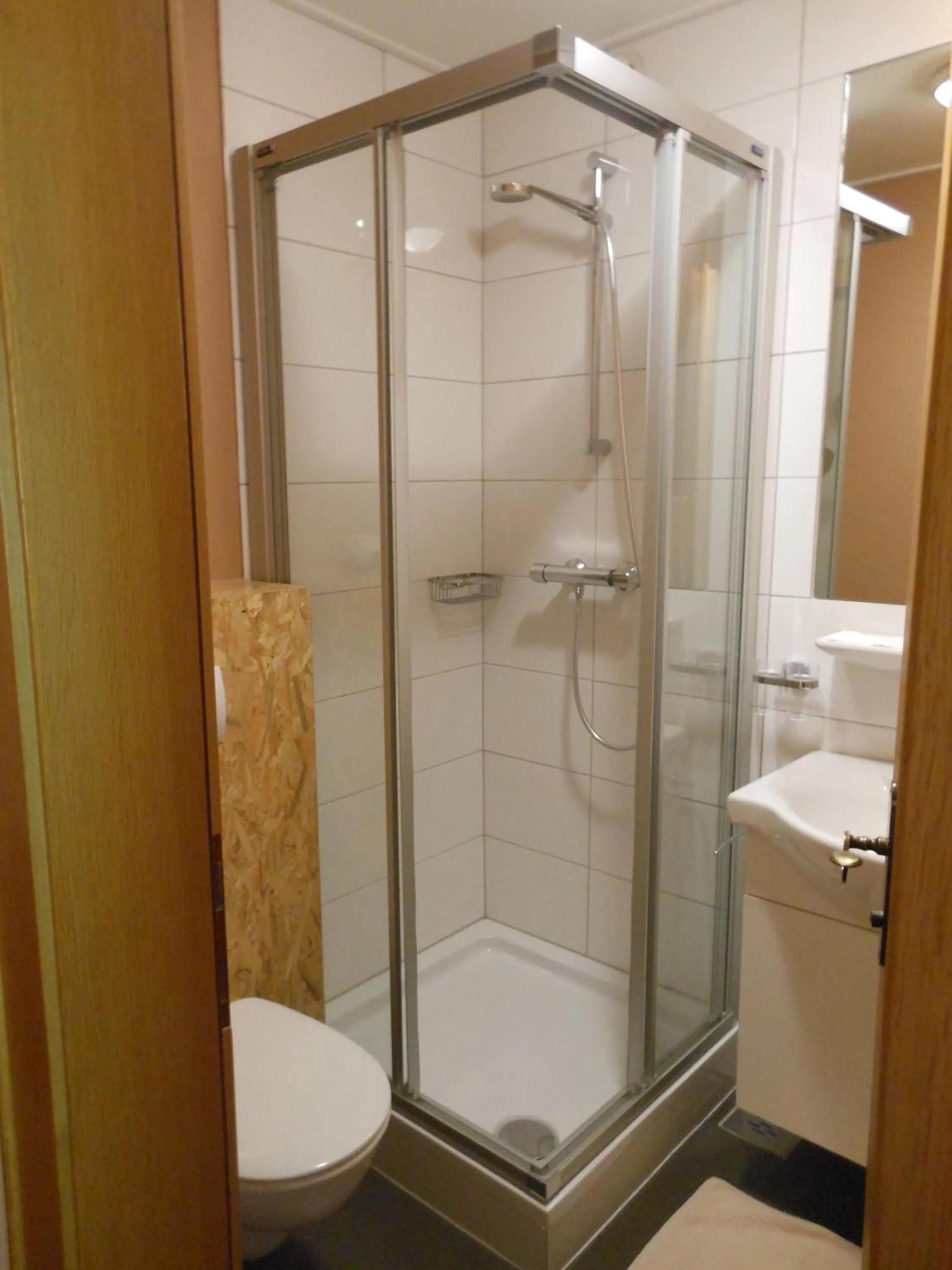 Shower in Hotel Landle