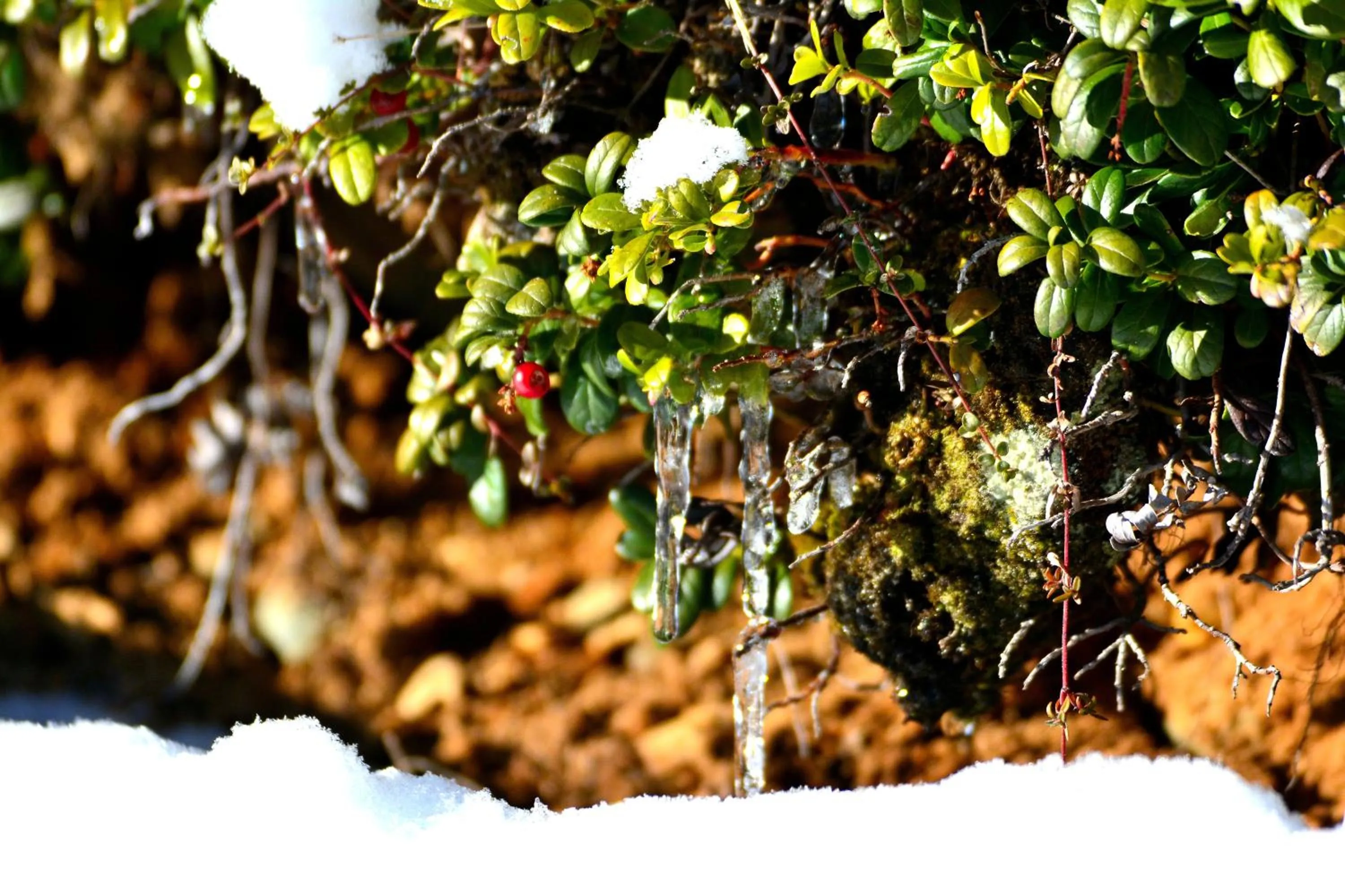 Other in Hotel Landle