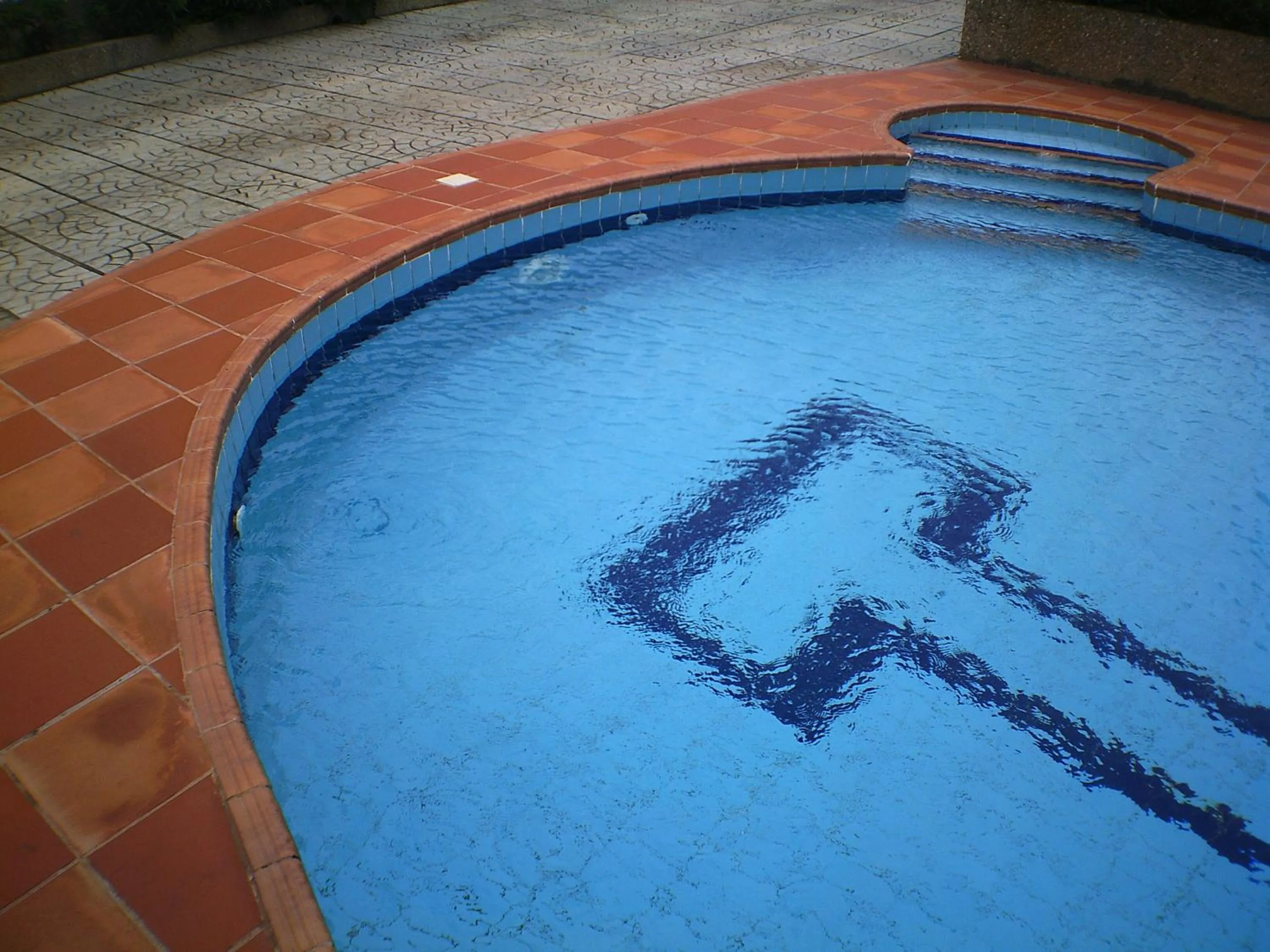 Swimming pool in Lavender Lodge Hotel