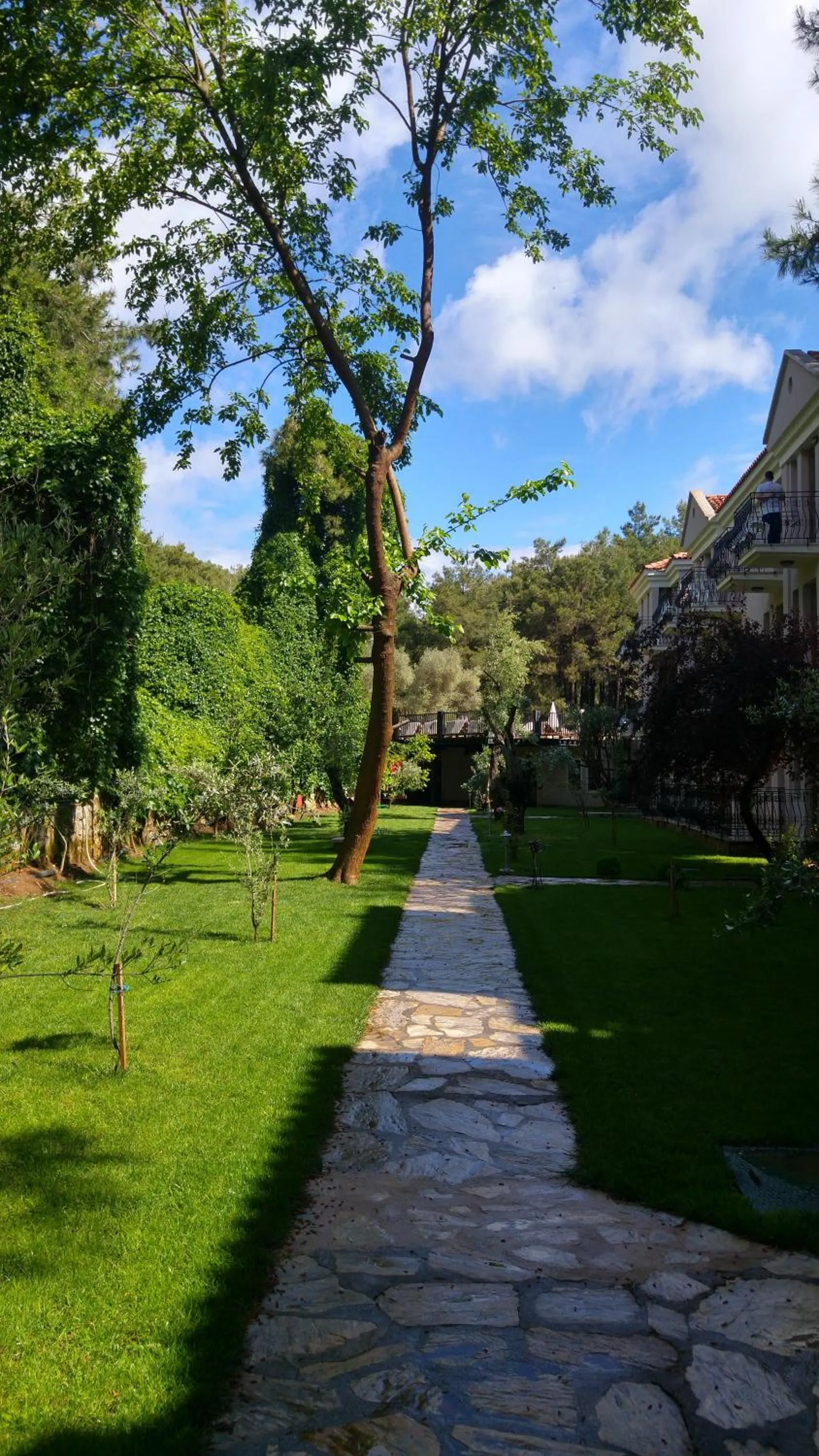 Garden in Pine Valley Hotel Oludeniz
