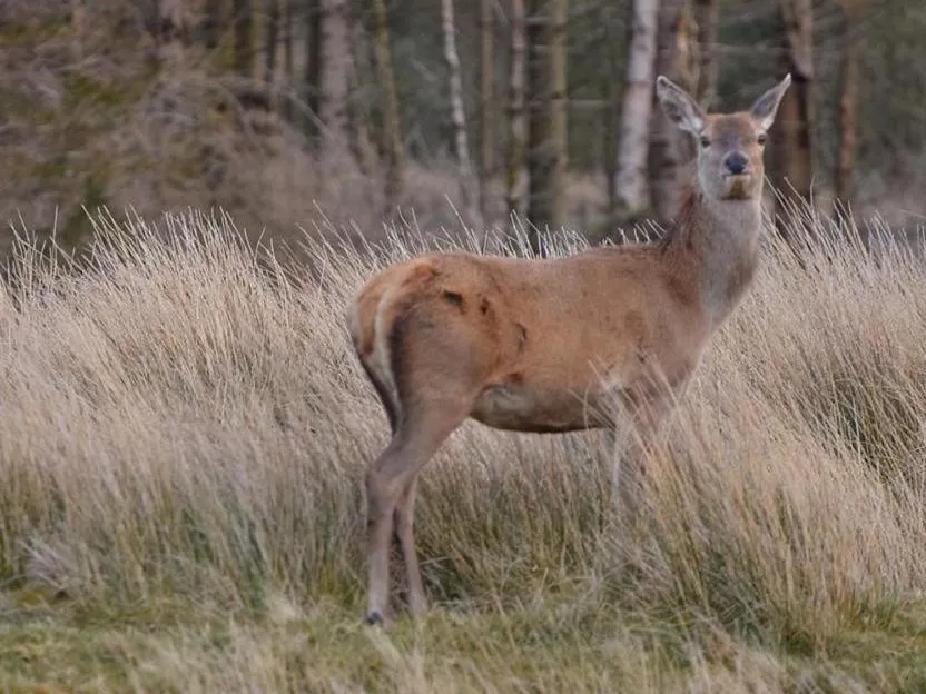 Other in Pant Glas Barn