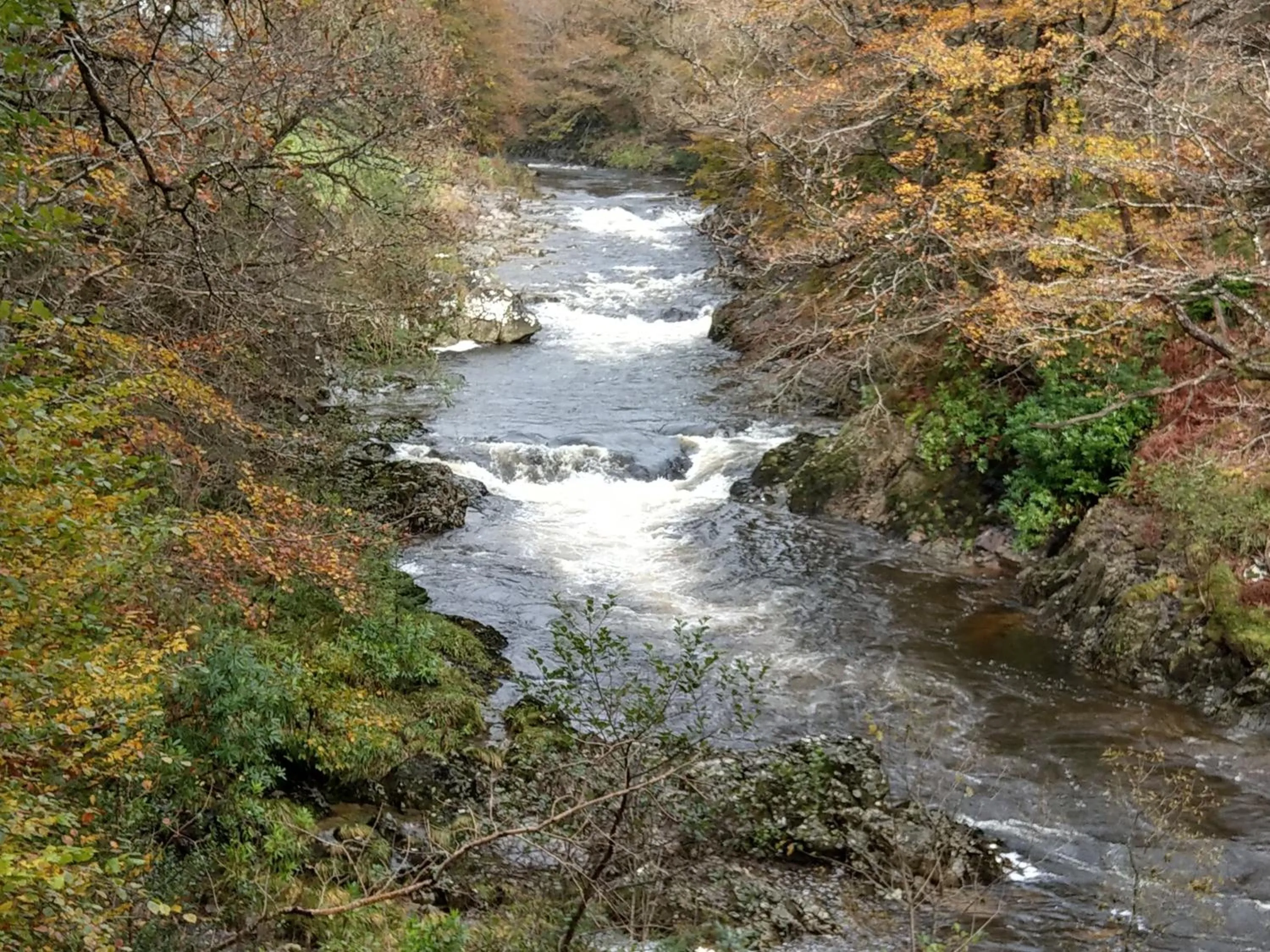 Other in Pant Glas Barn